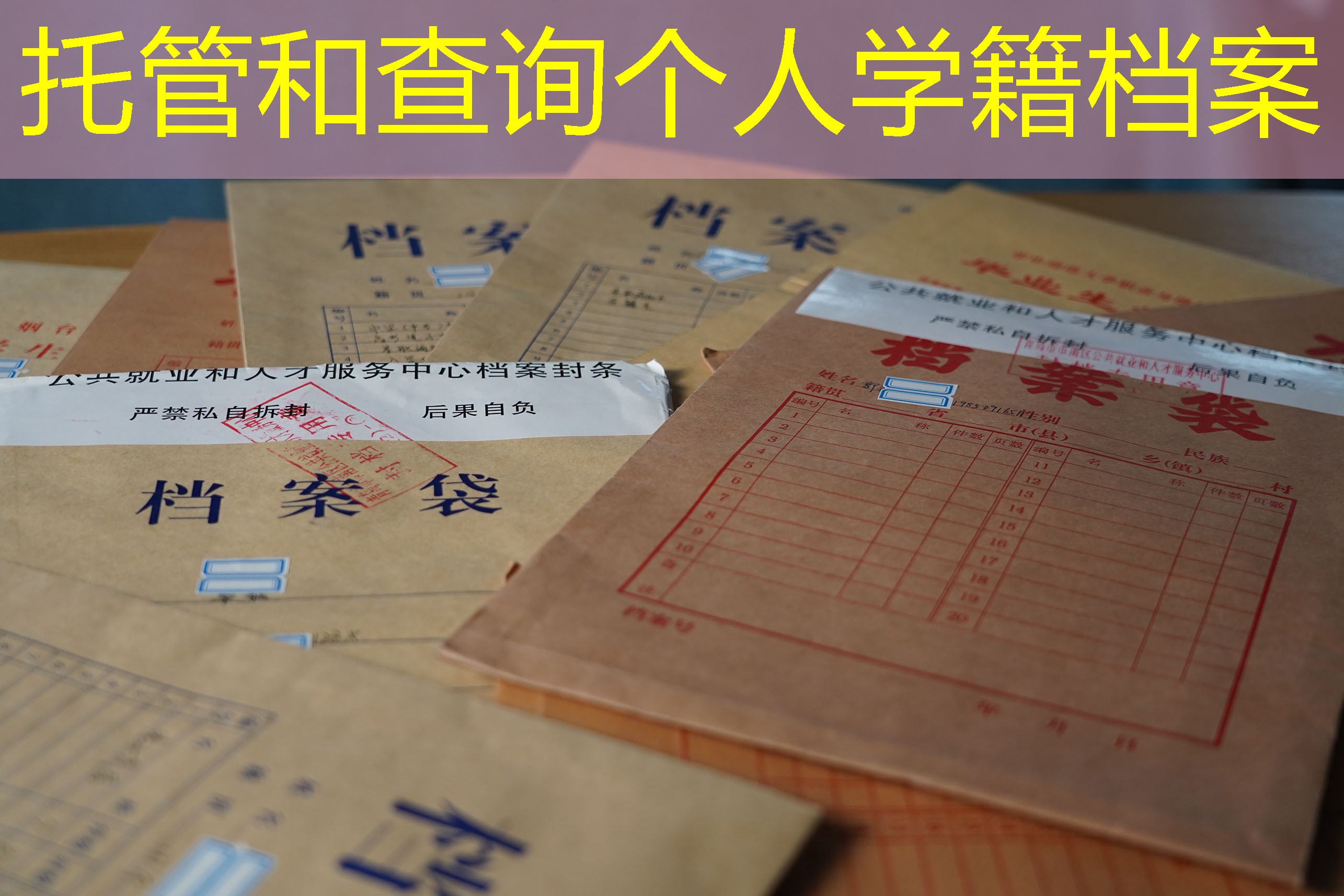 档案查询