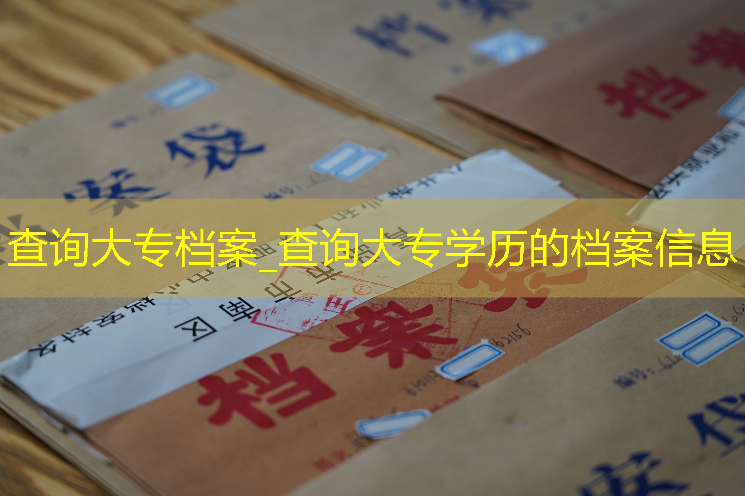 档案查询