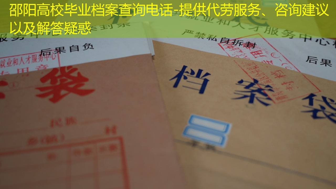 档案查询