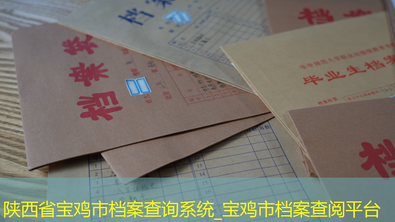 档案查询