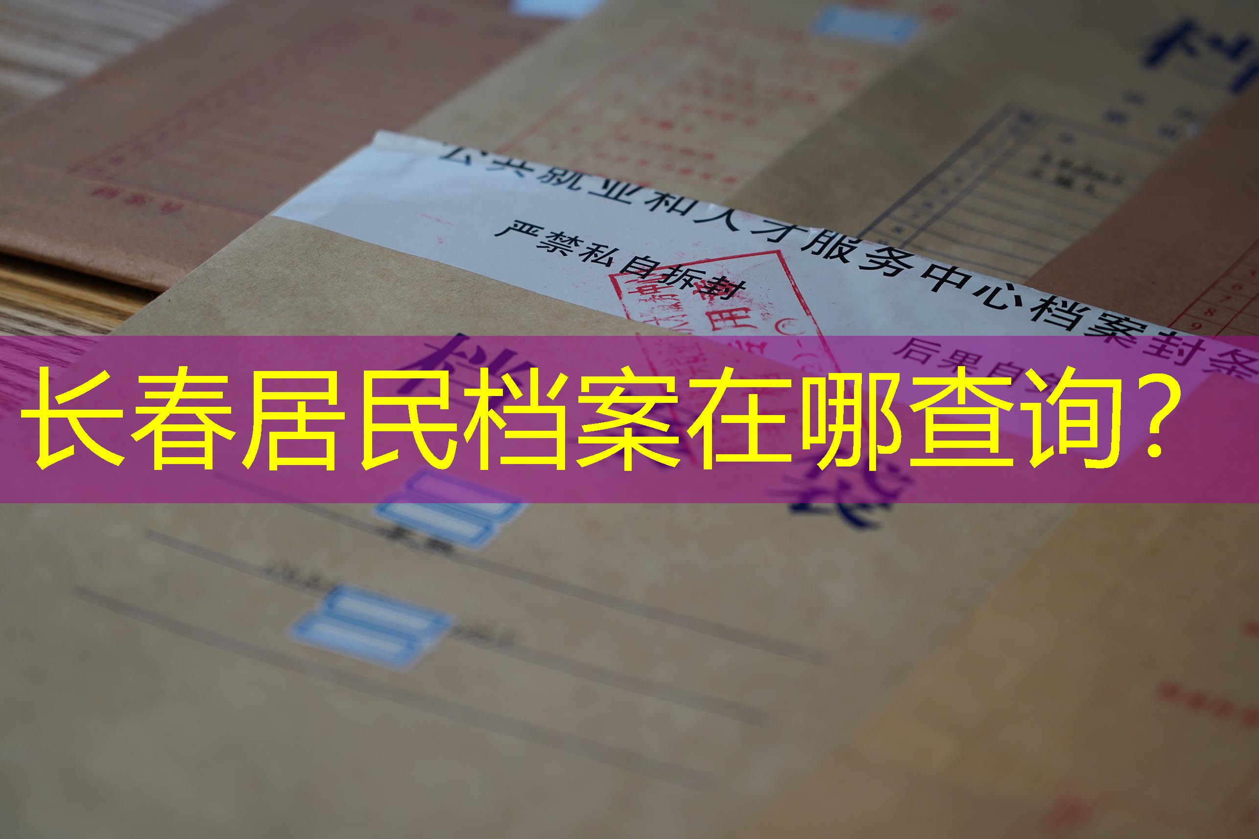 档案查询