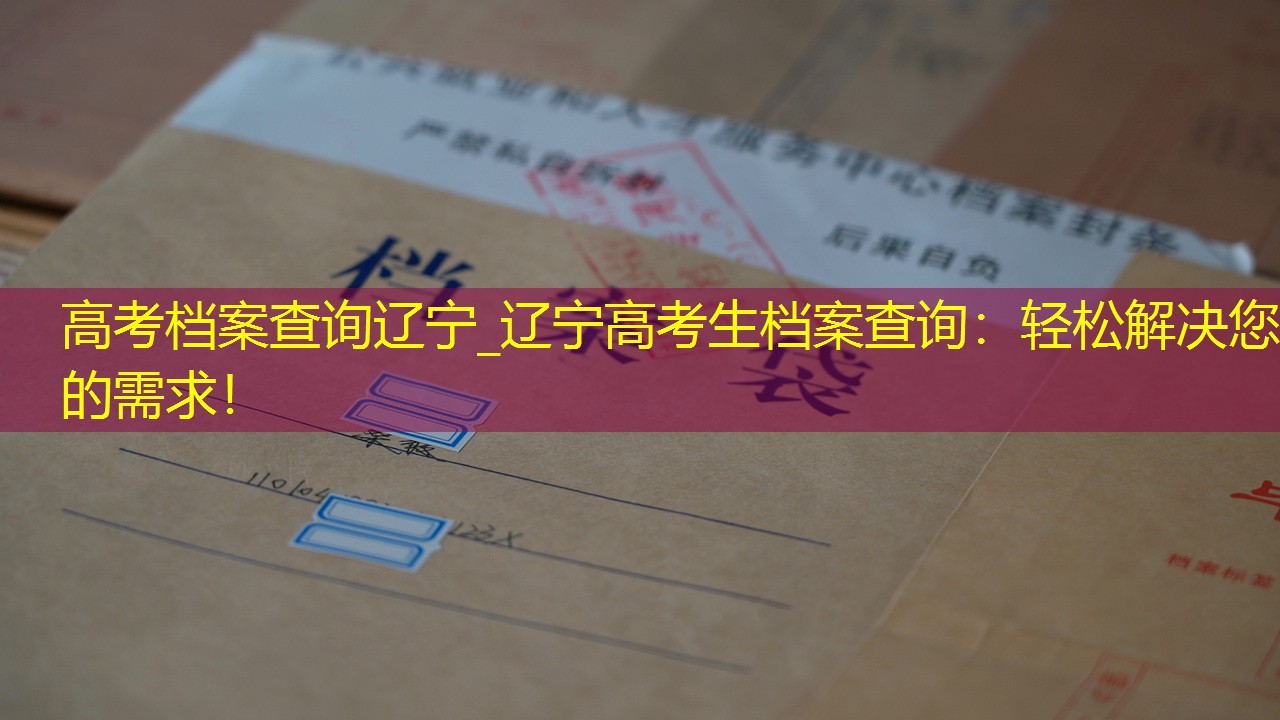 档案查询