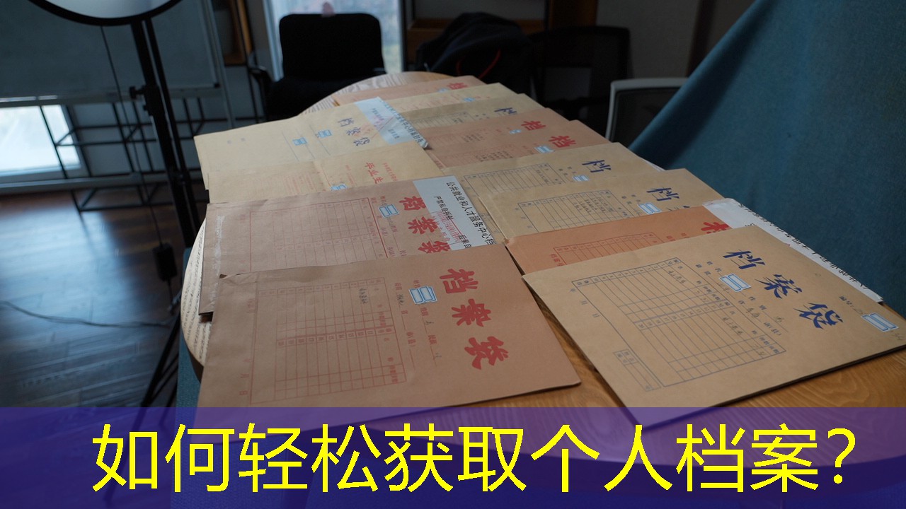 档案查询