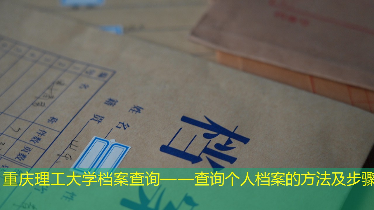 档案查询