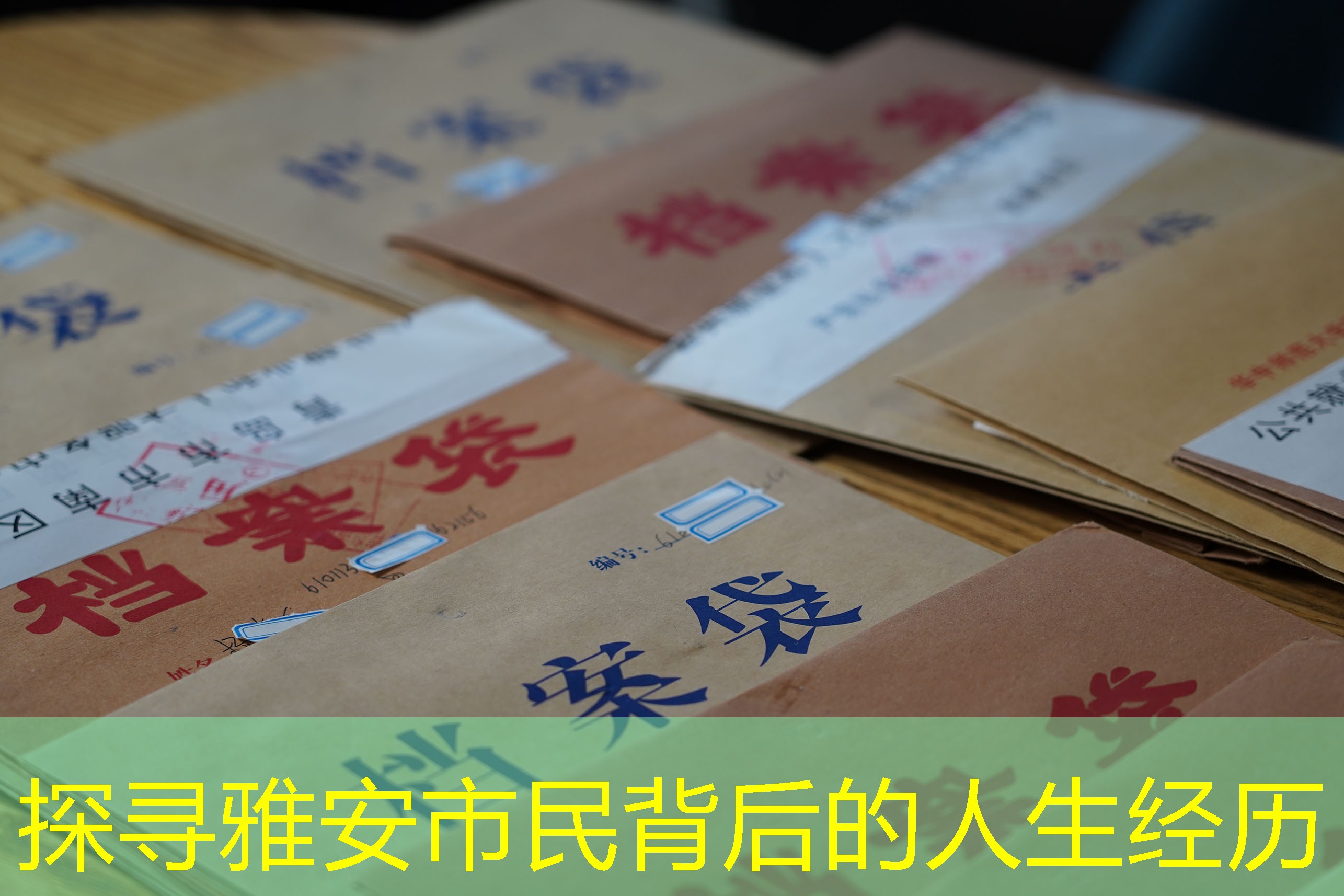 档案查询
