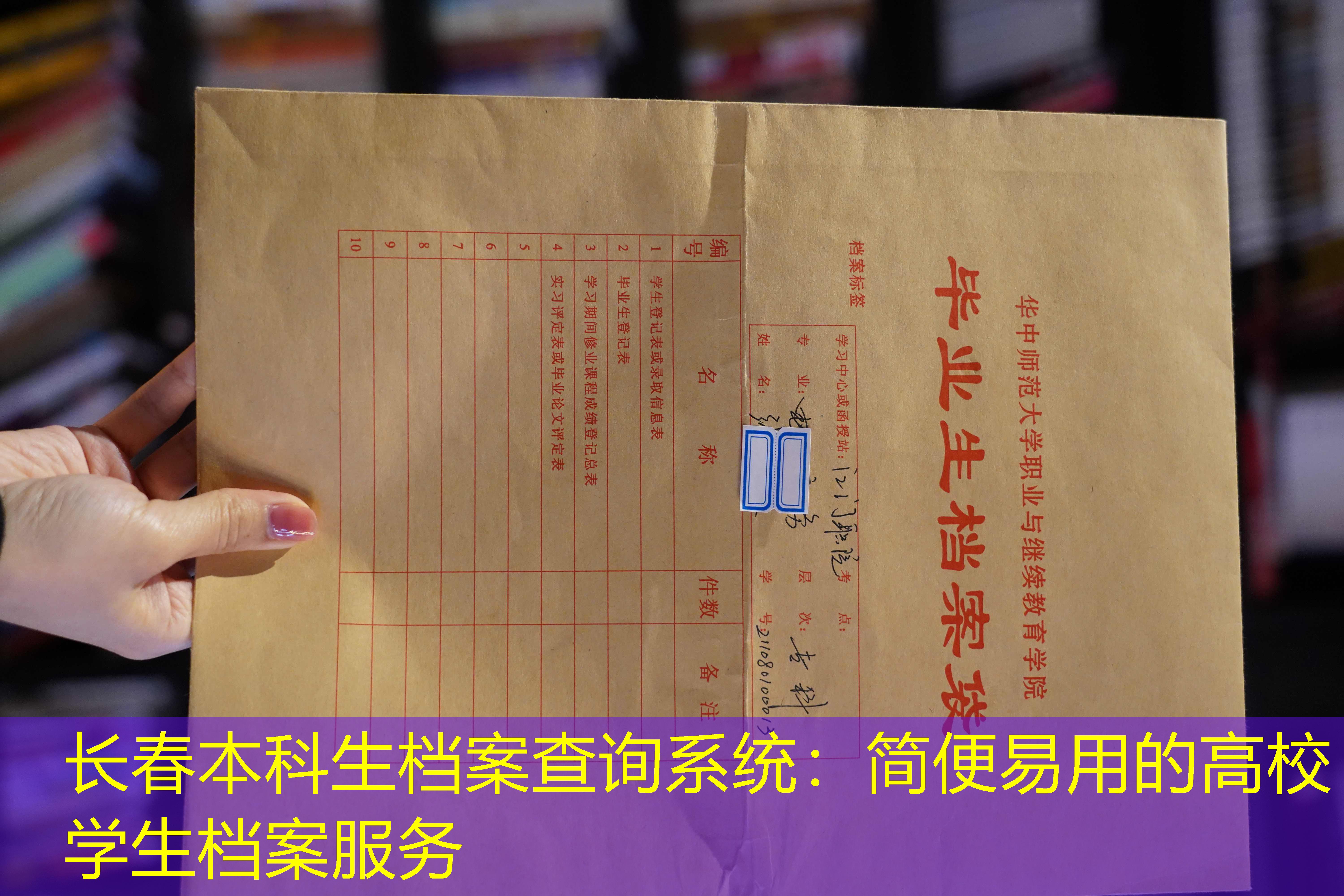 档案查询
