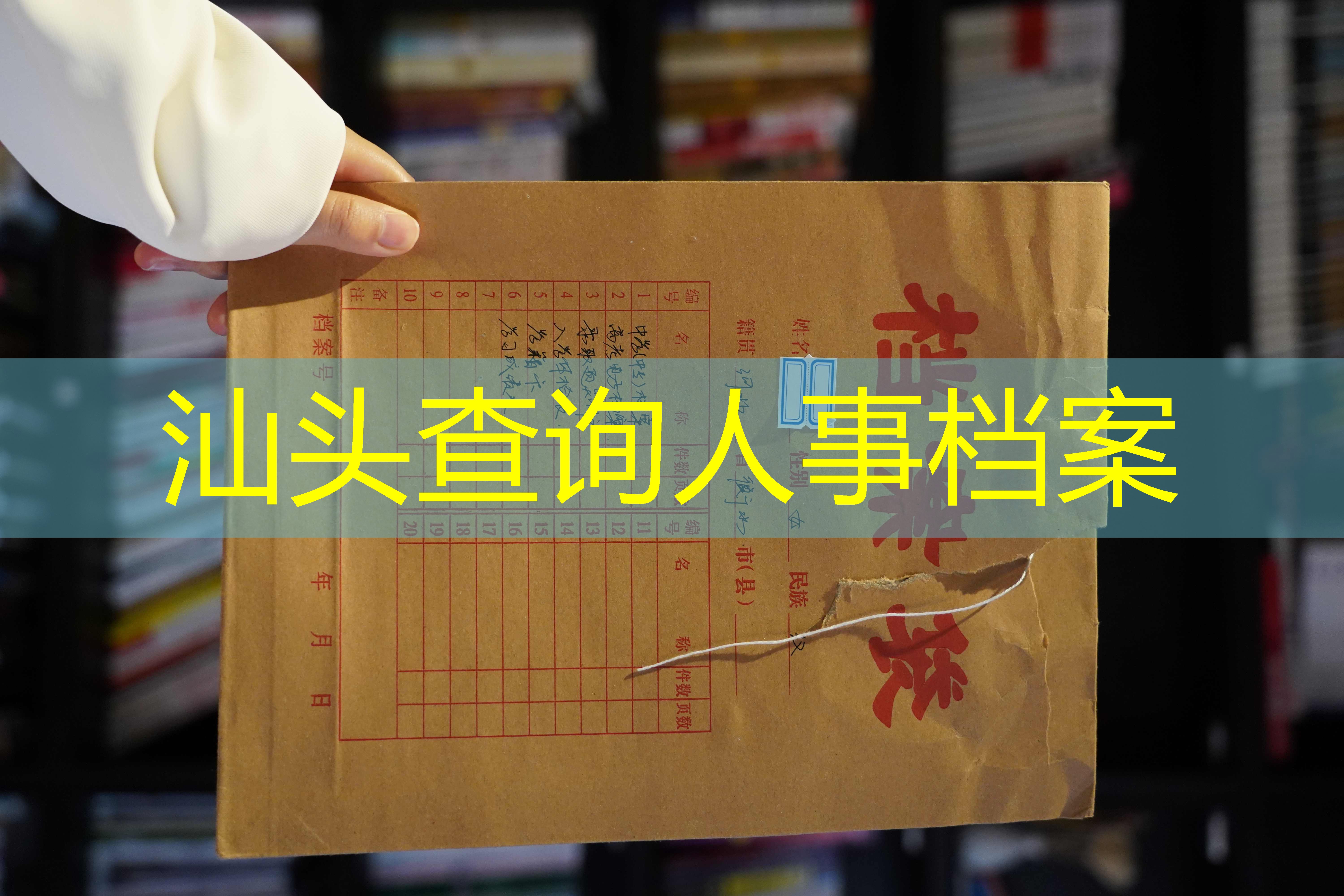 档案查询