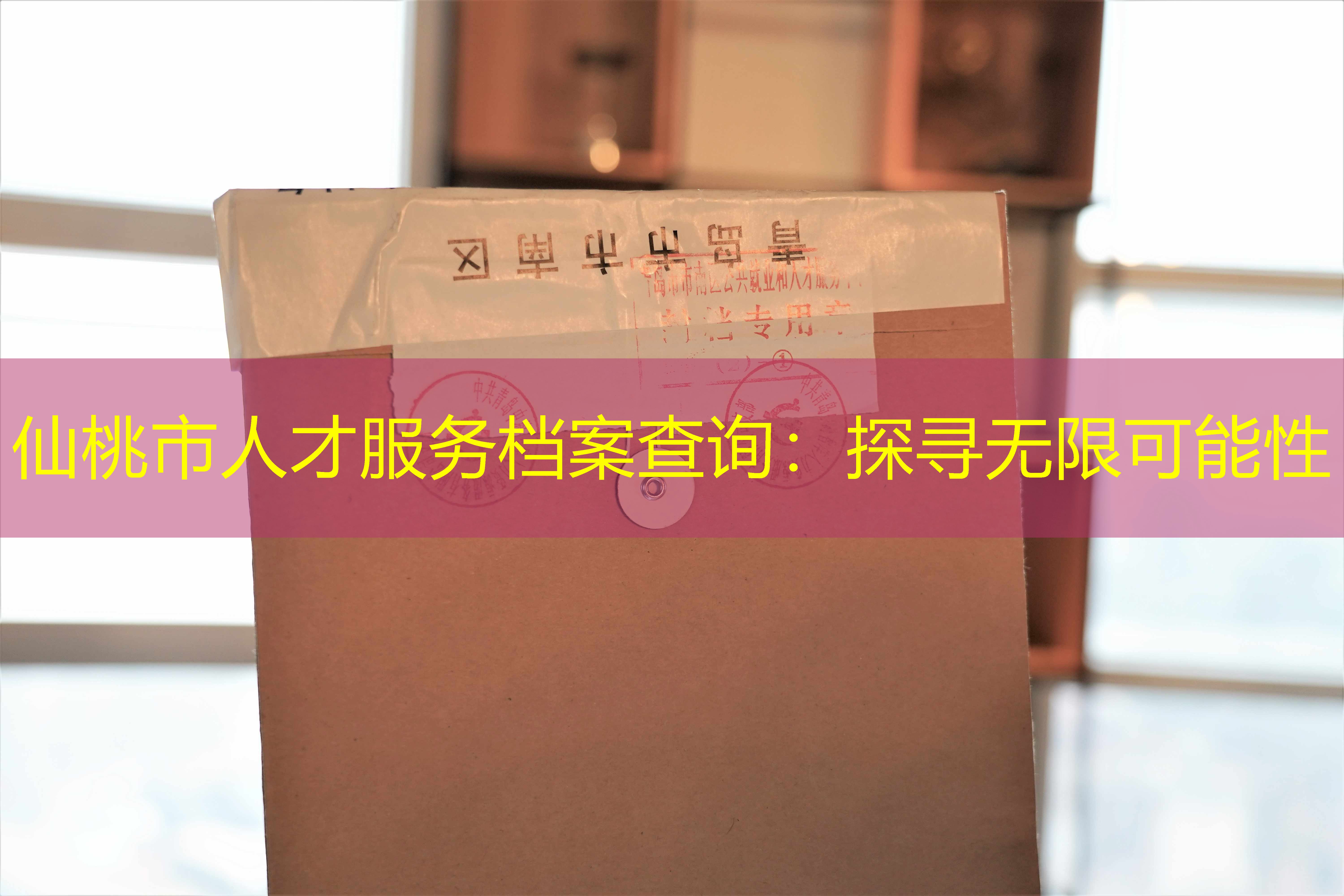 档案查询