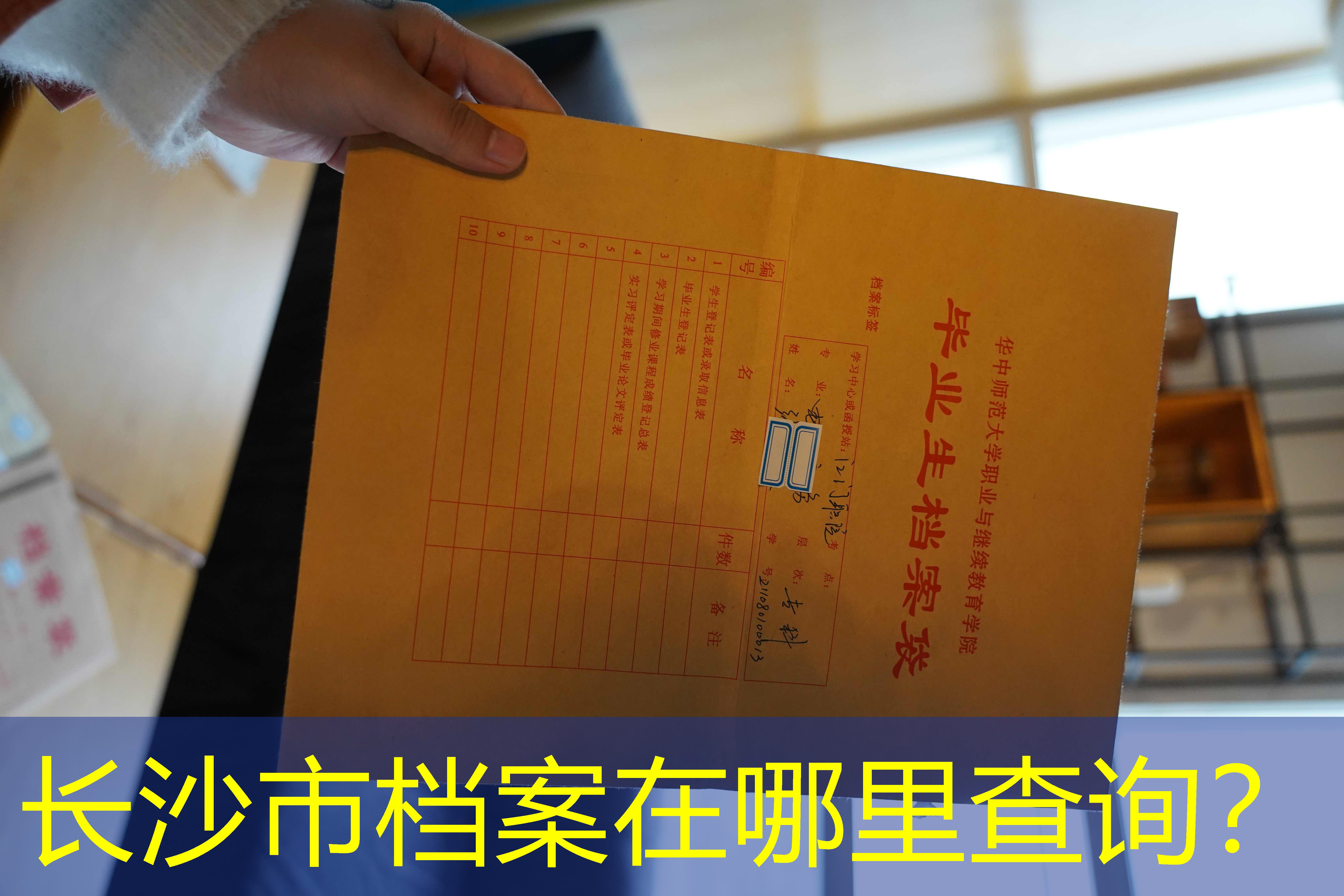 档案查询
