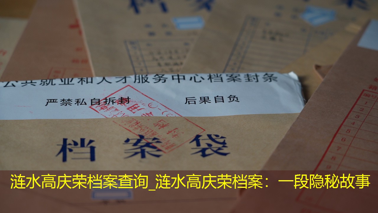 档案查询