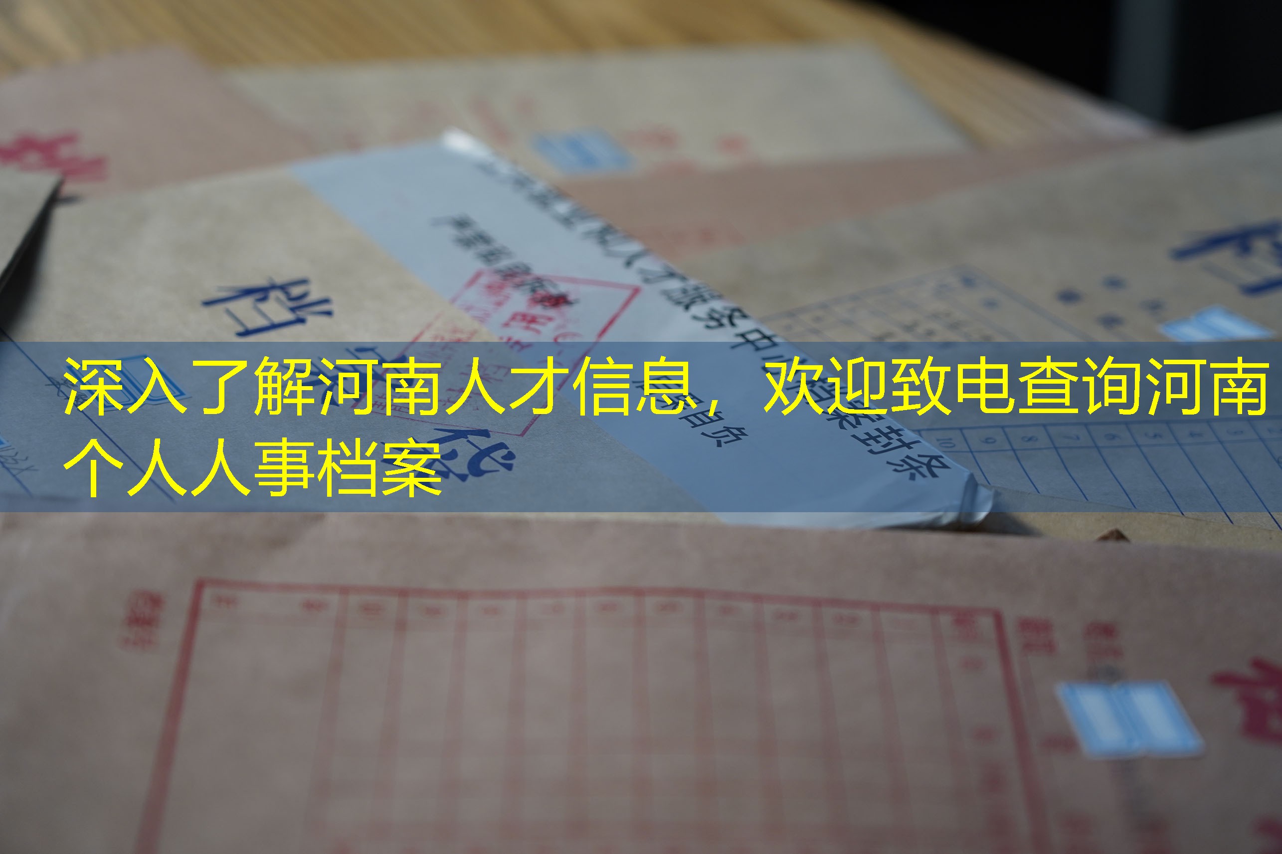 档案查询