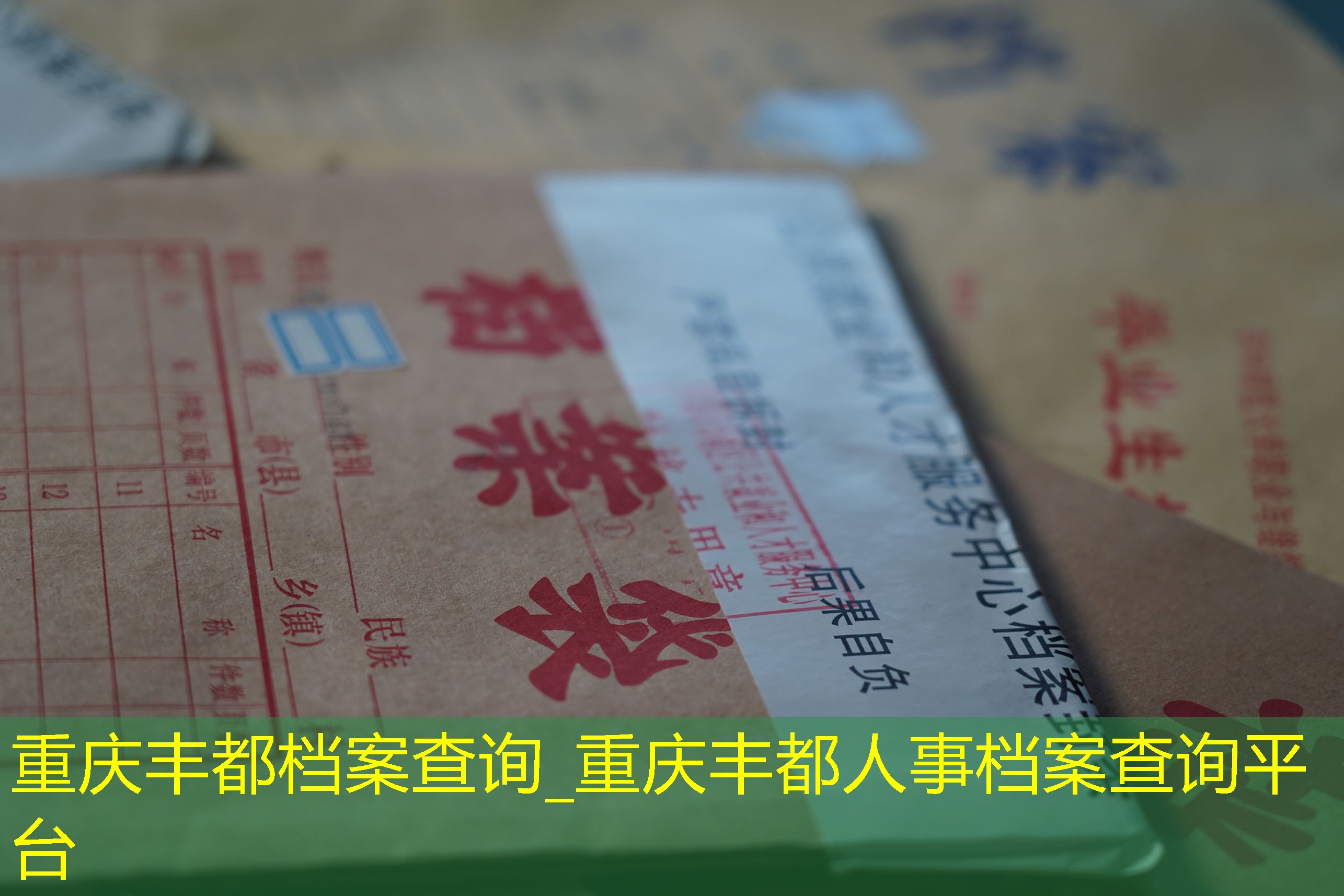 档案查询