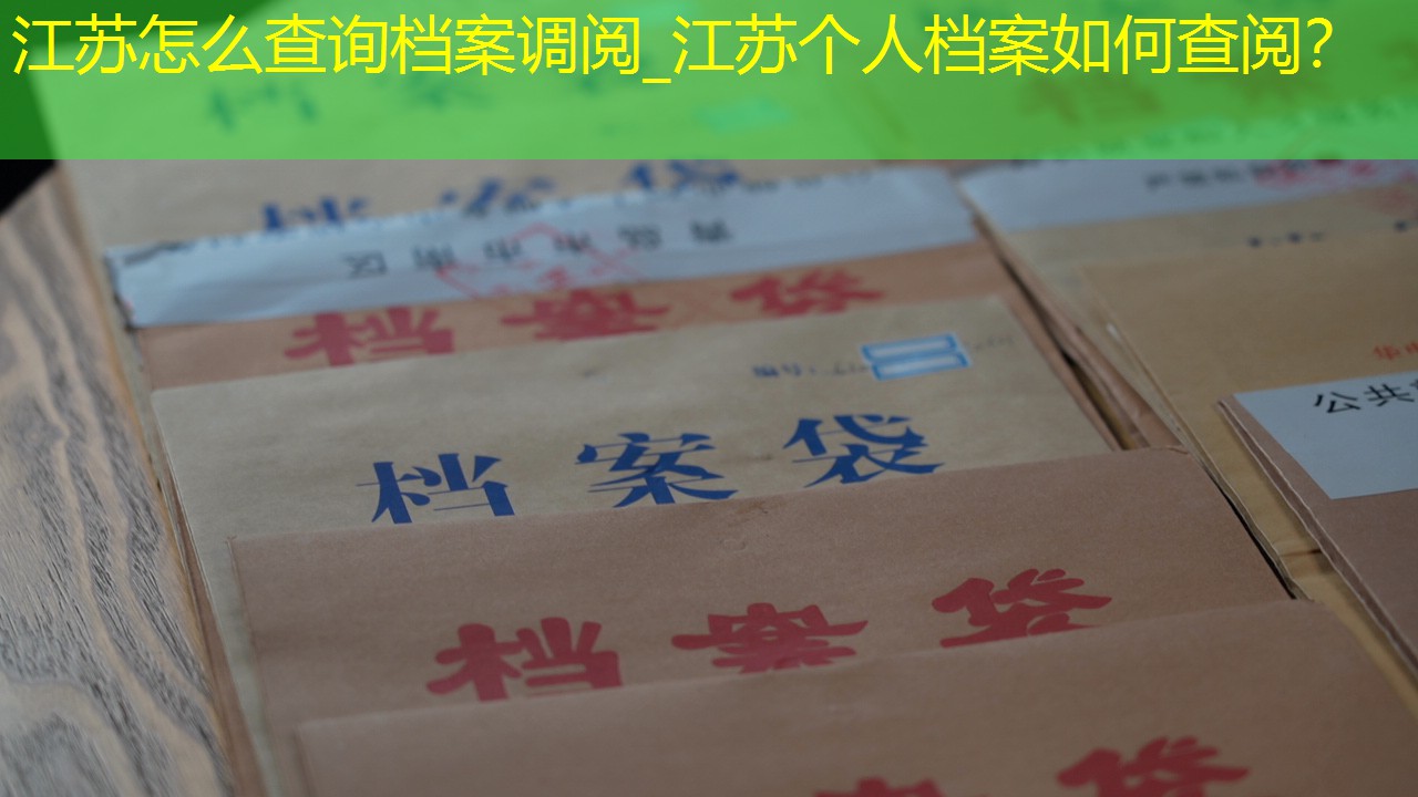 档案查询