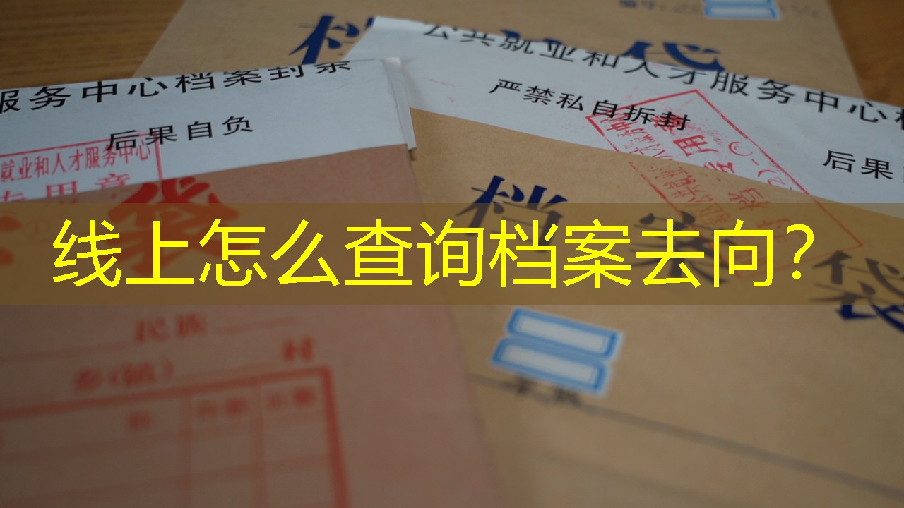 档案查询