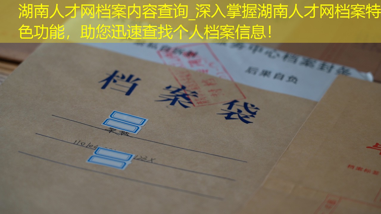 档案查询