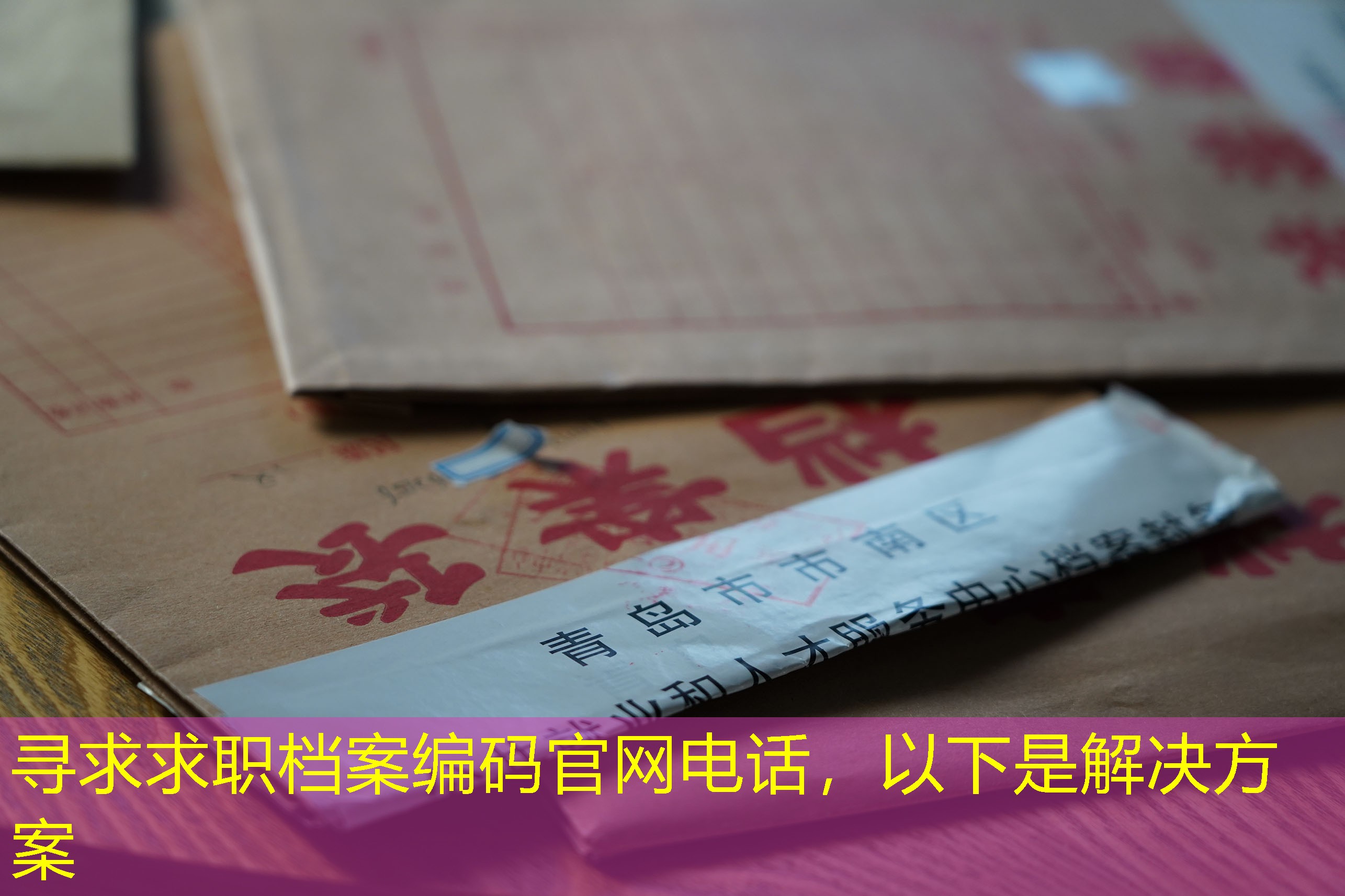 档案查询