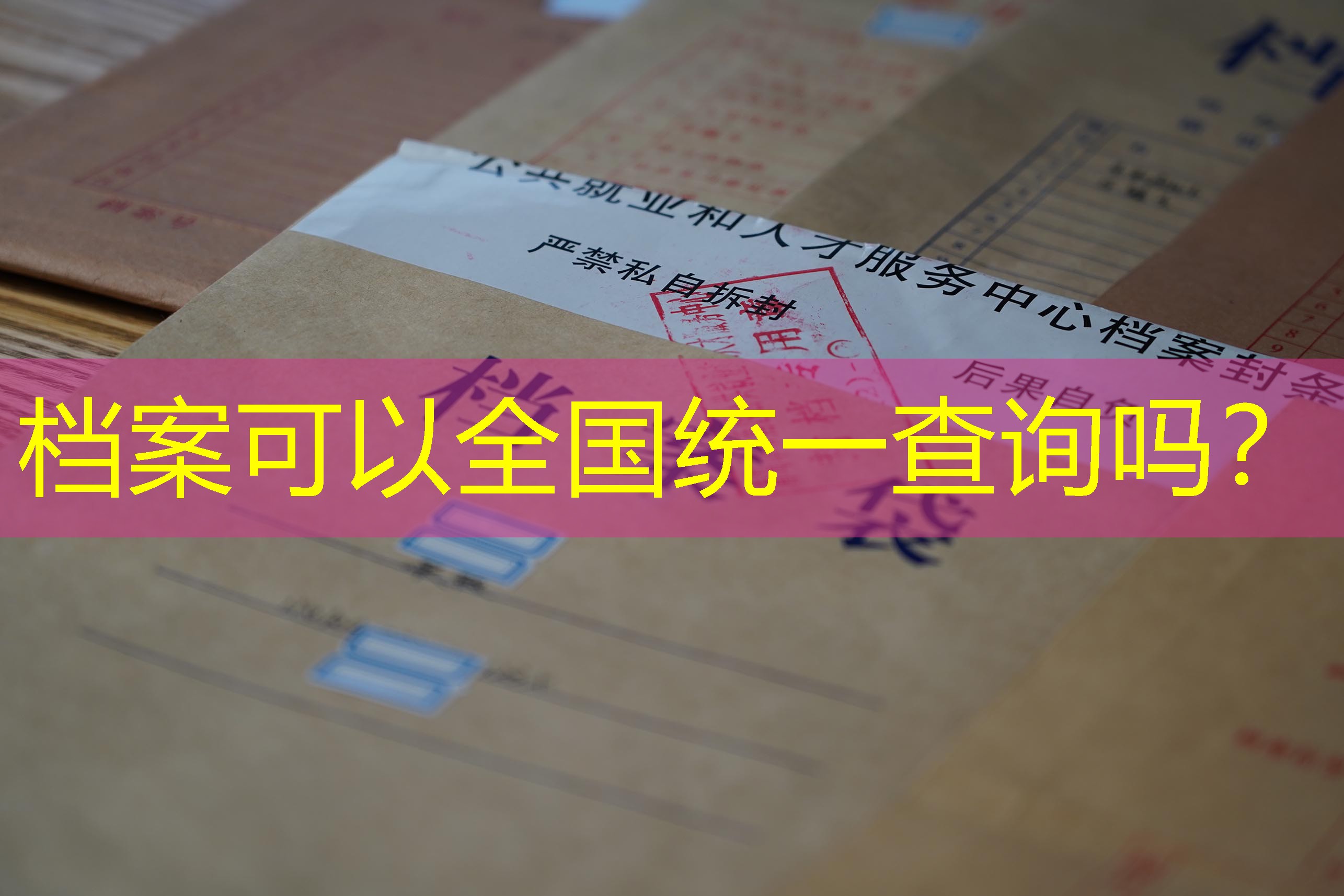 档案查询