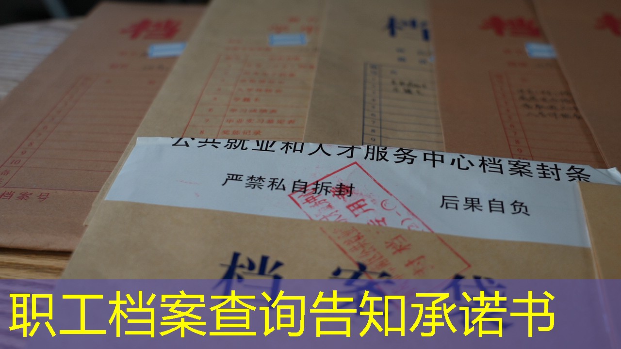 档案查询