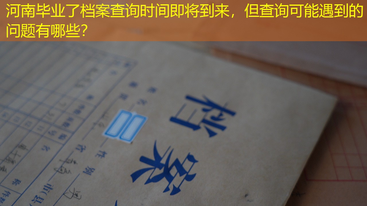 档案查询