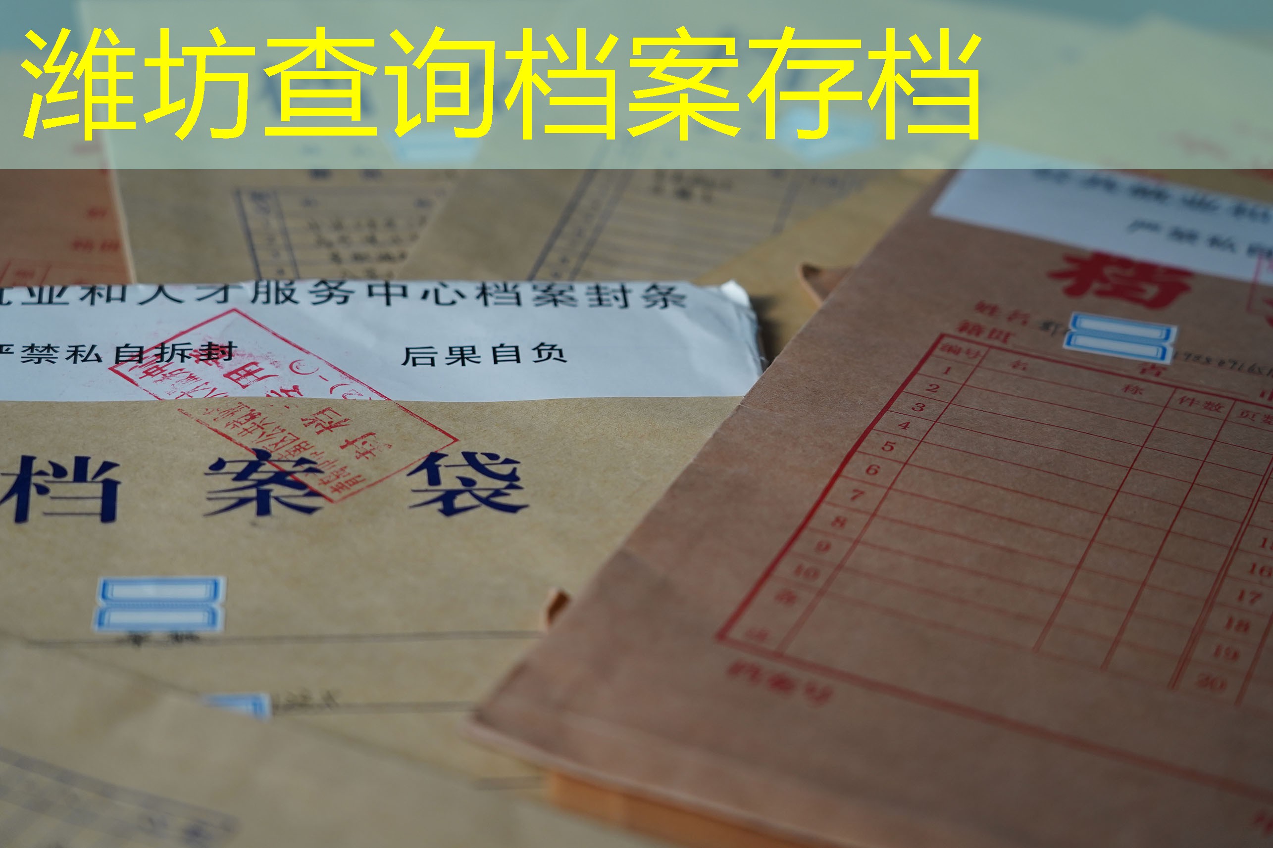 档案查询