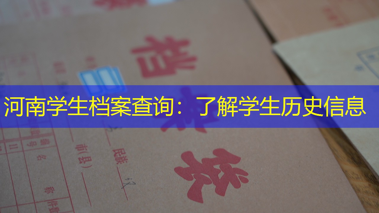 档案查询