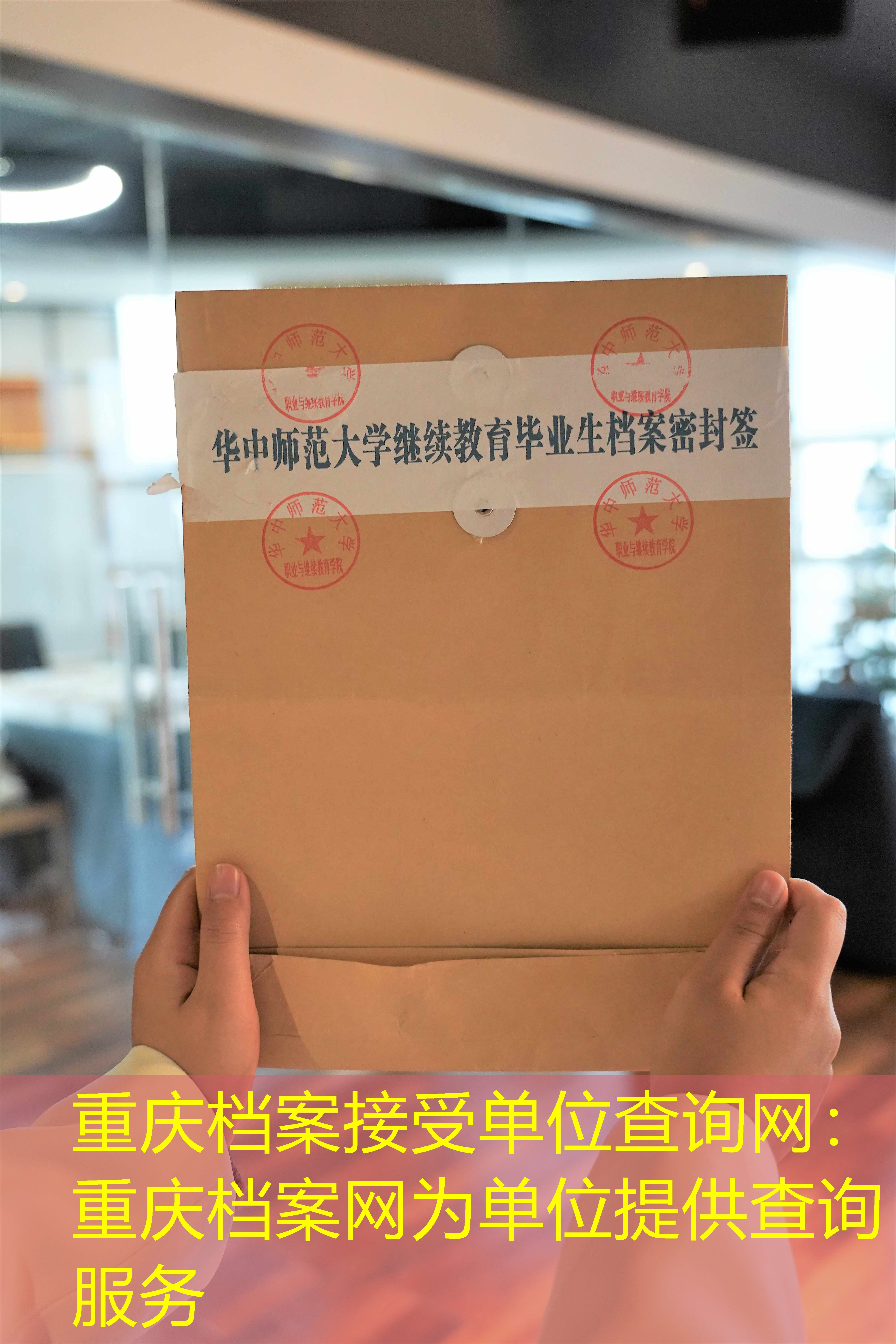 档案查询