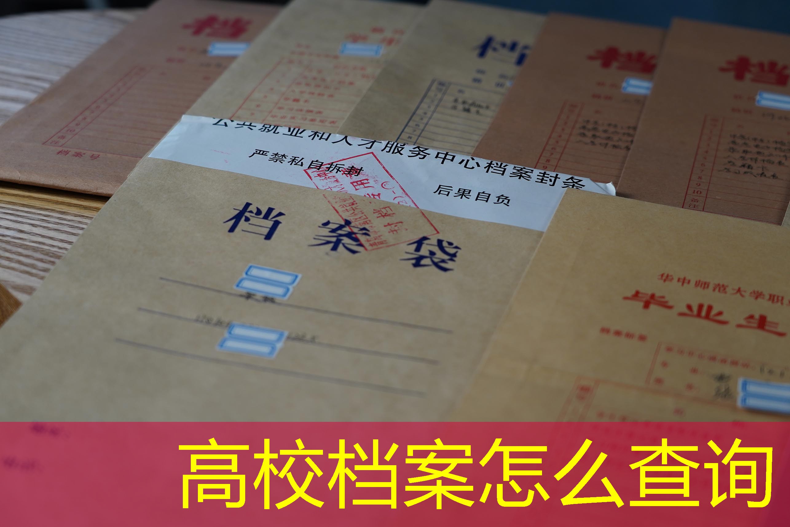 档案查询