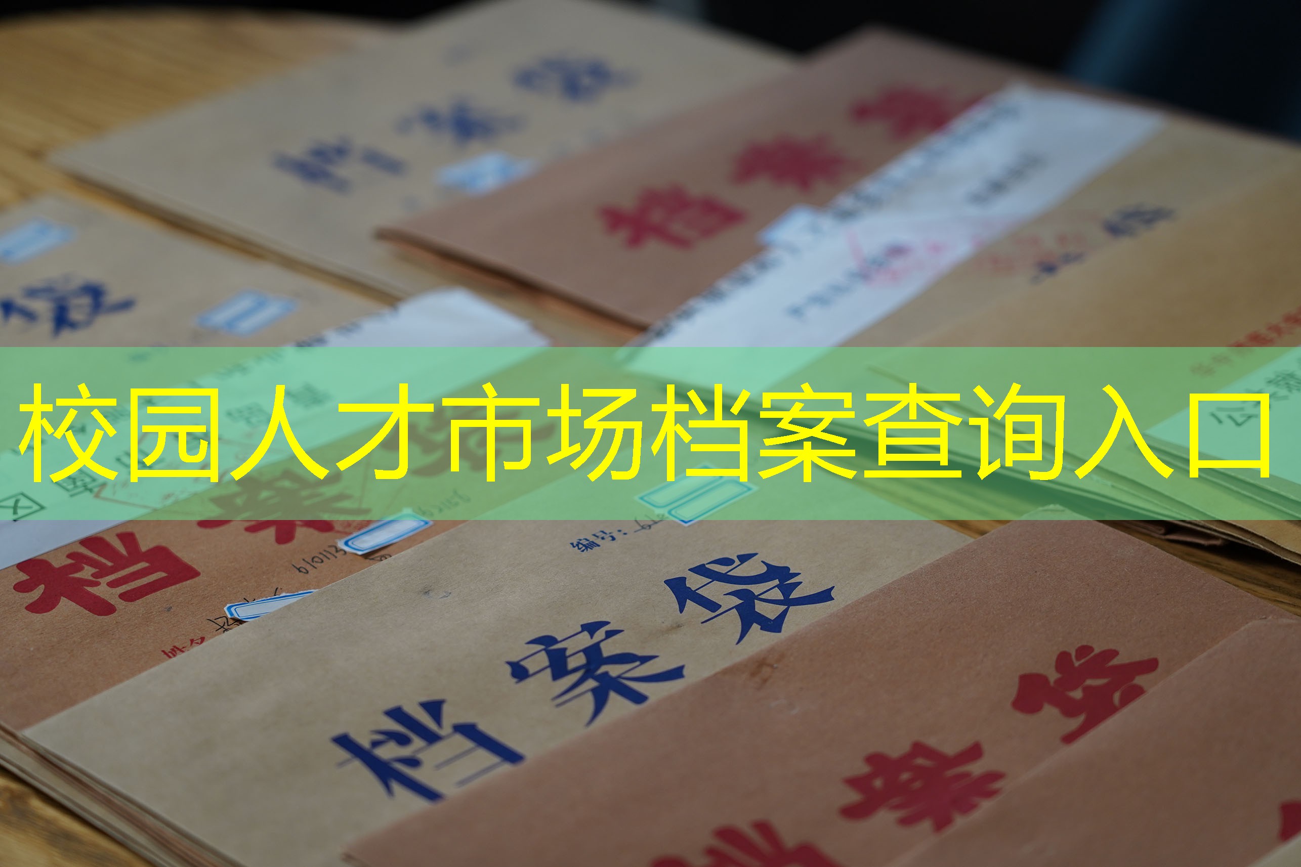 档案查询