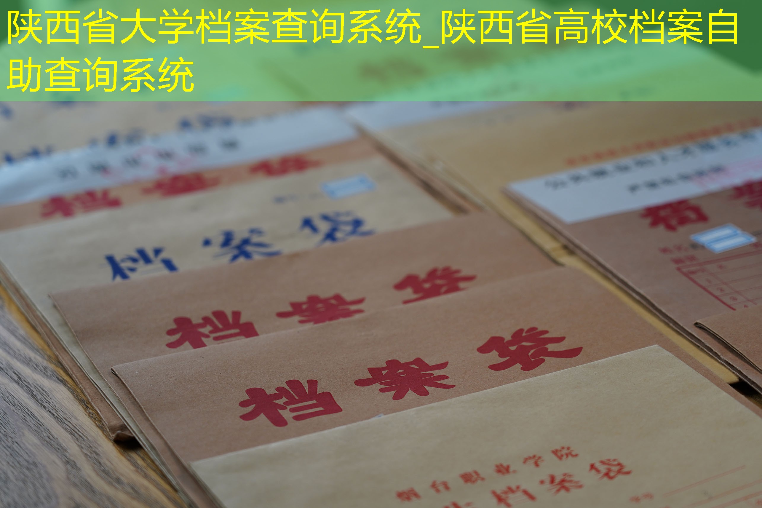 档案查询