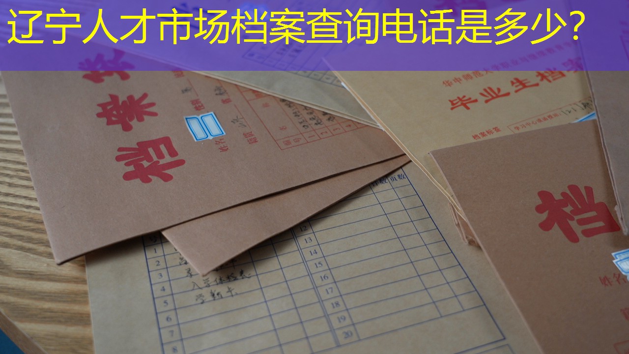 档案查询