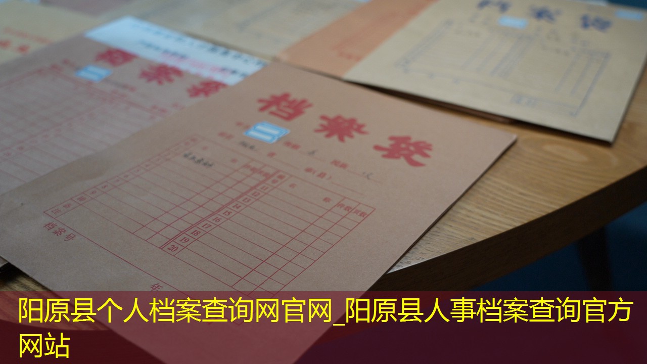 档案查询