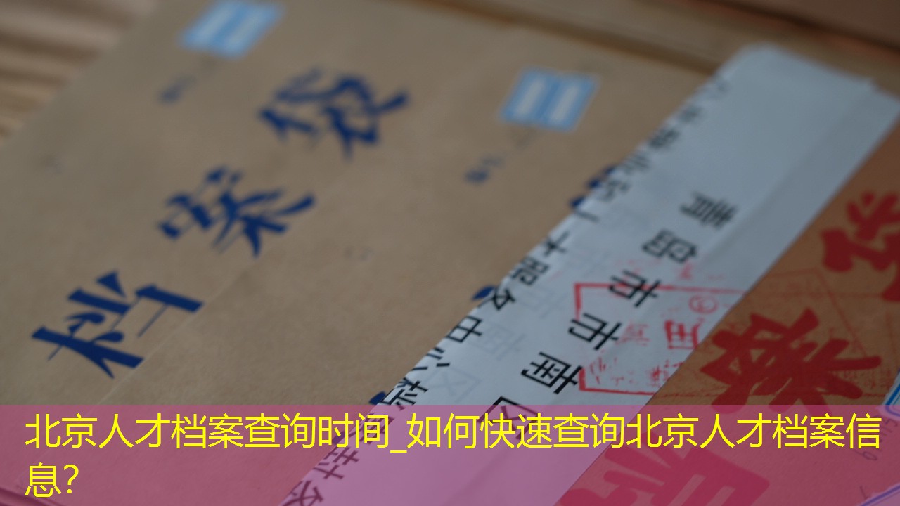档案查询