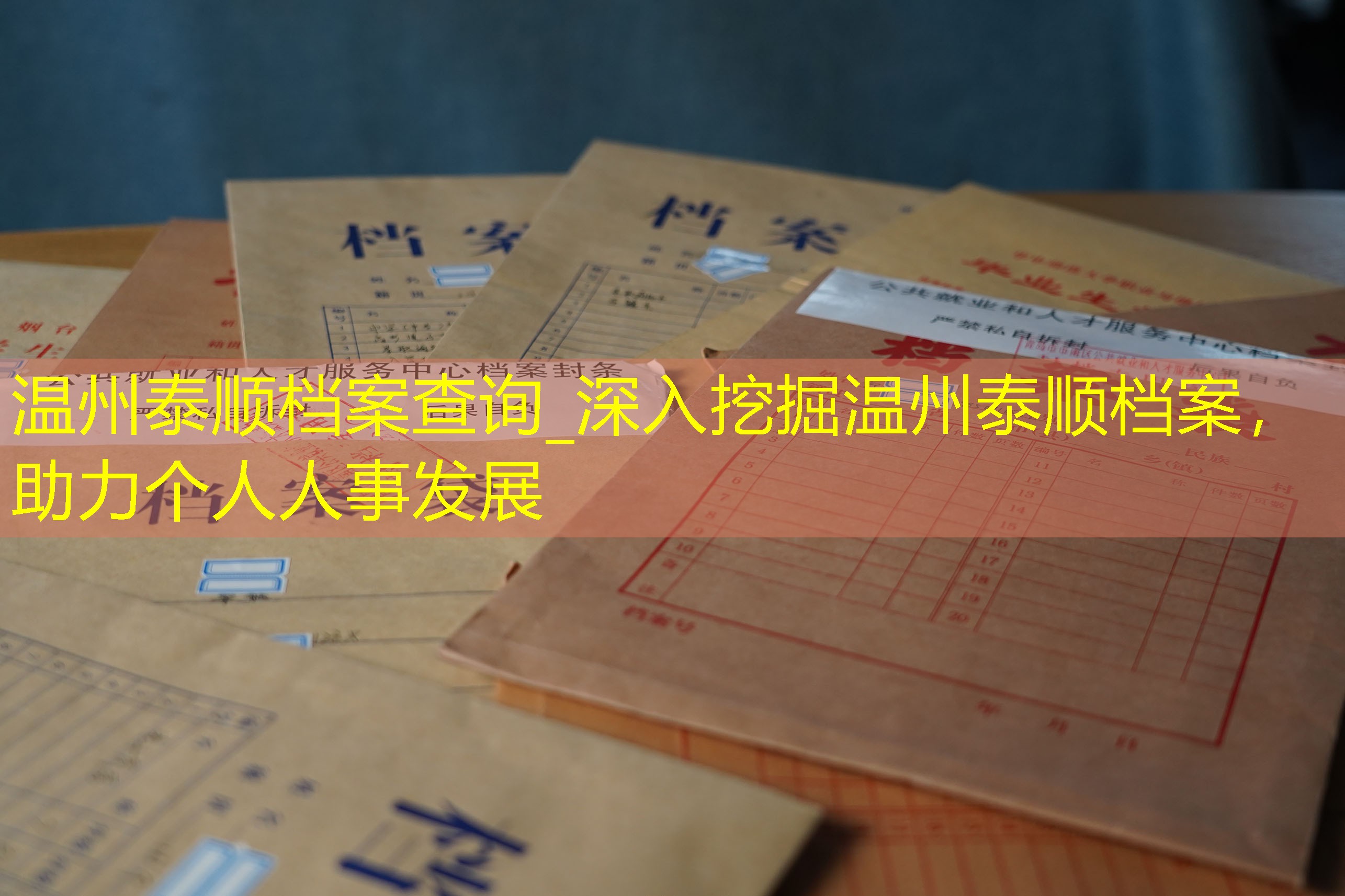 档案查询