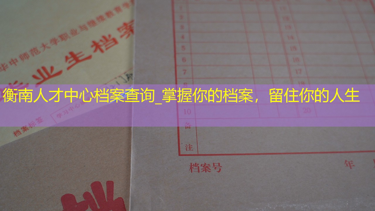 档案查询