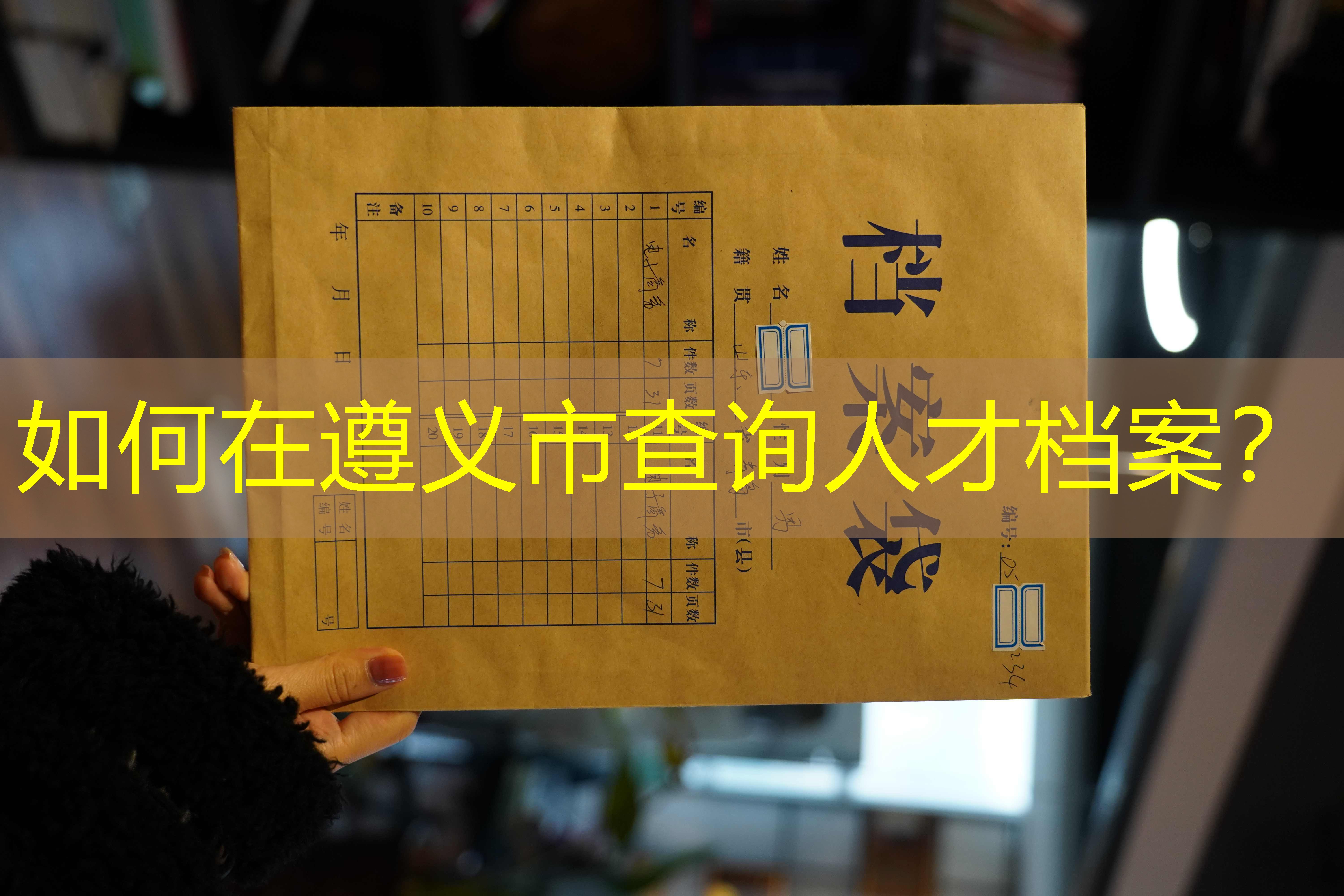 档案查询