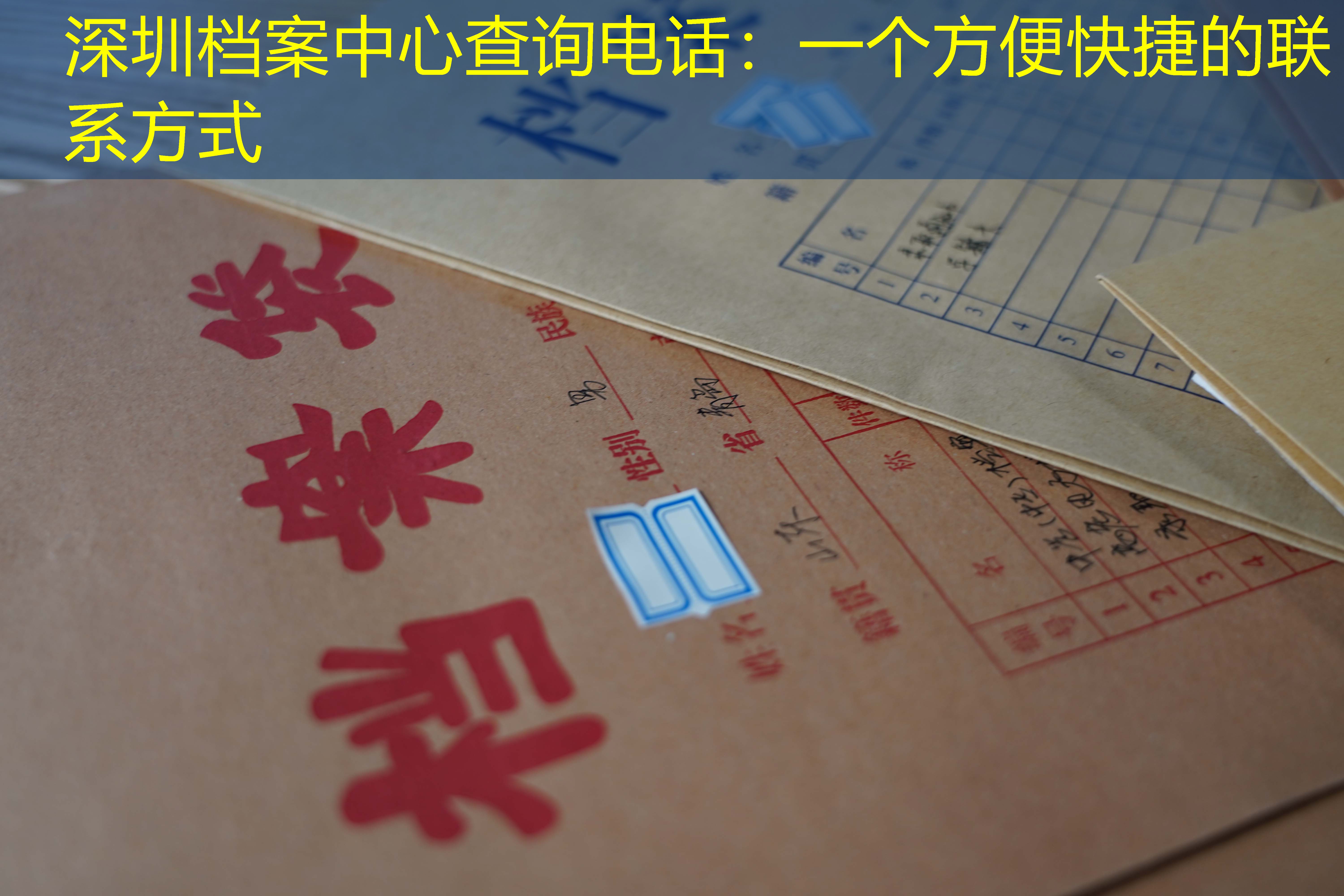 档案查询