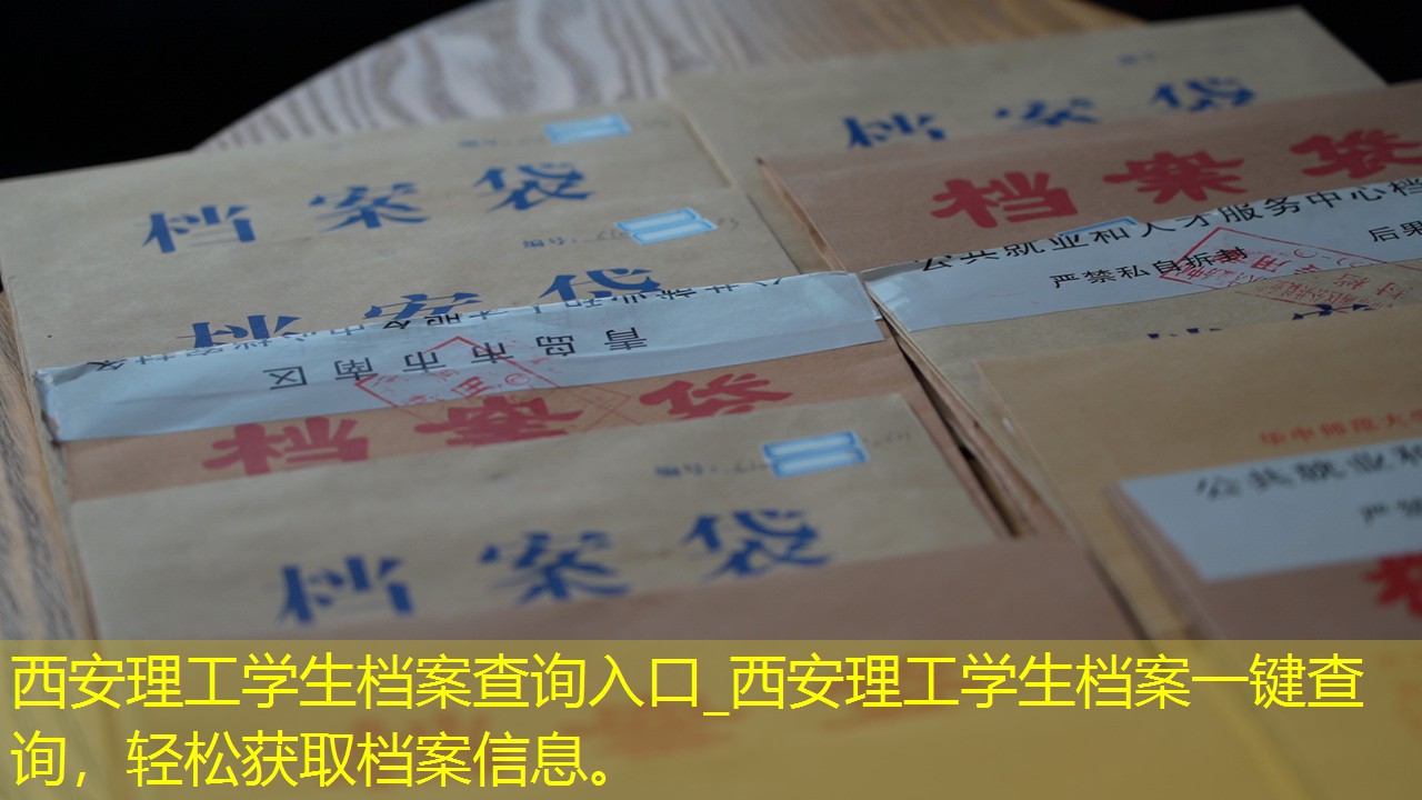 档案查询
