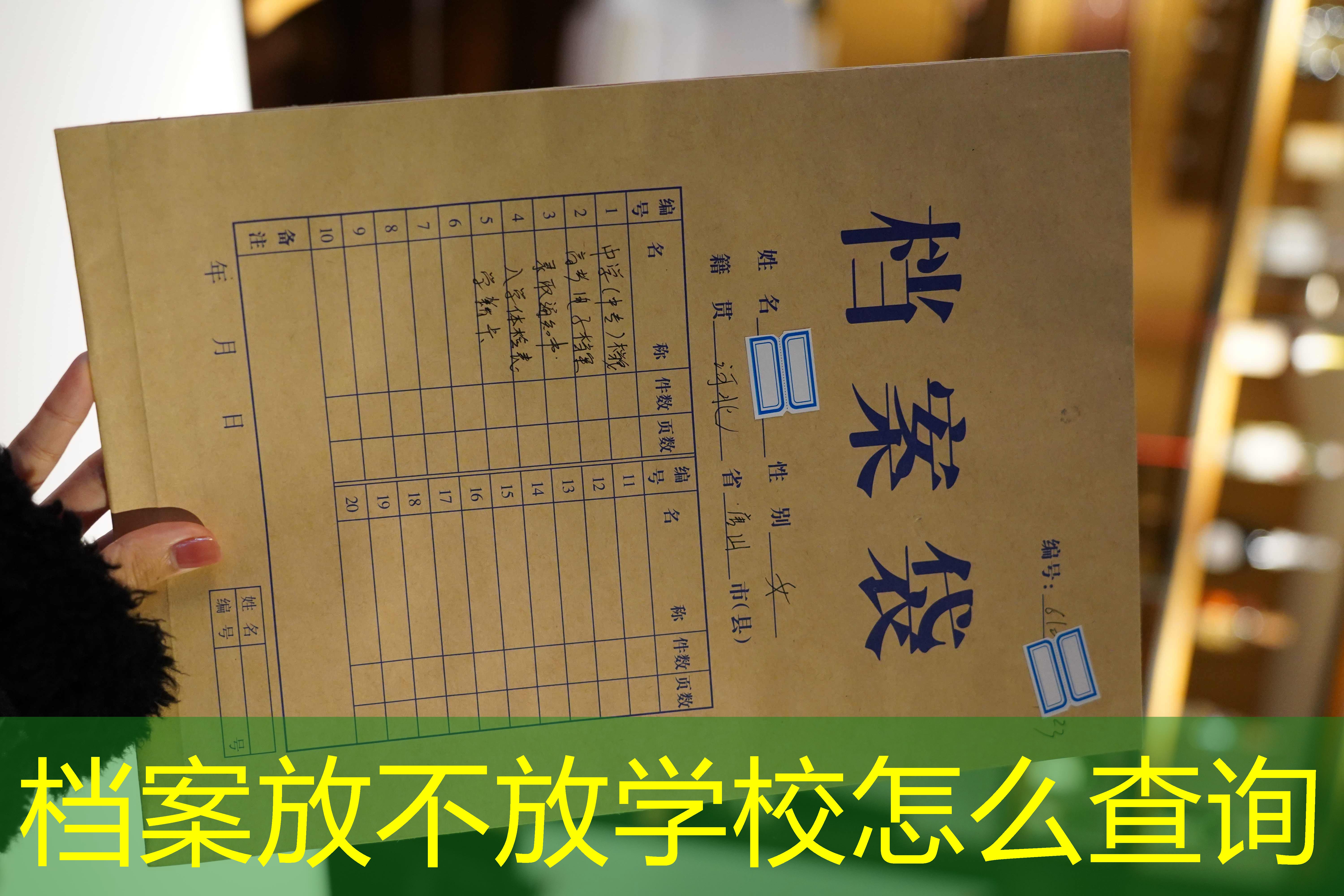 档案查询
