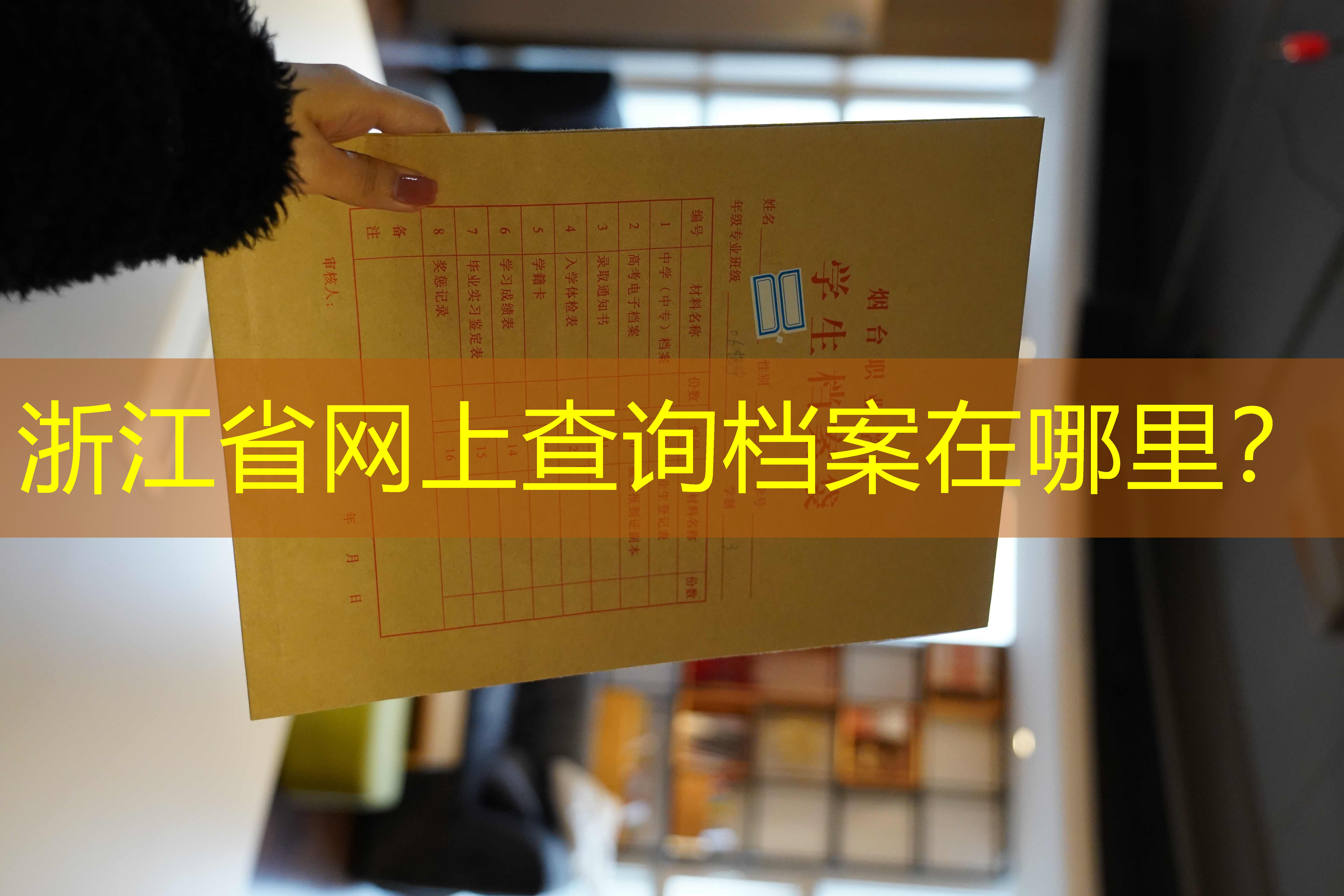 档案查询