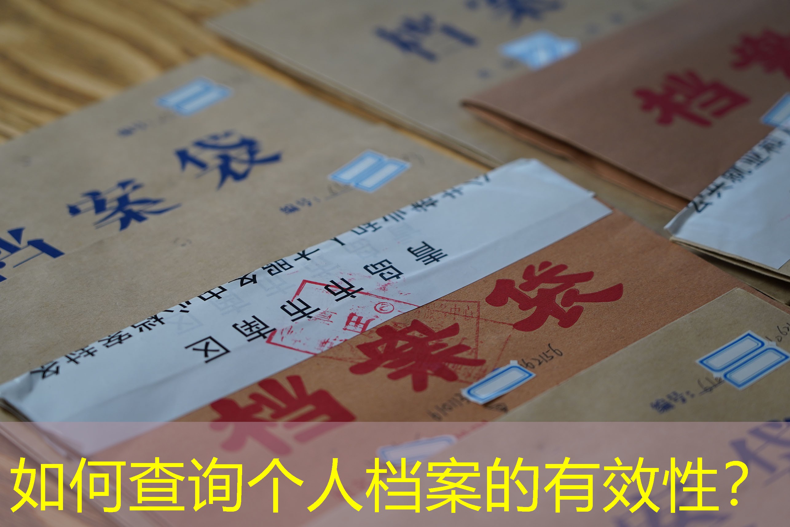 档案查询