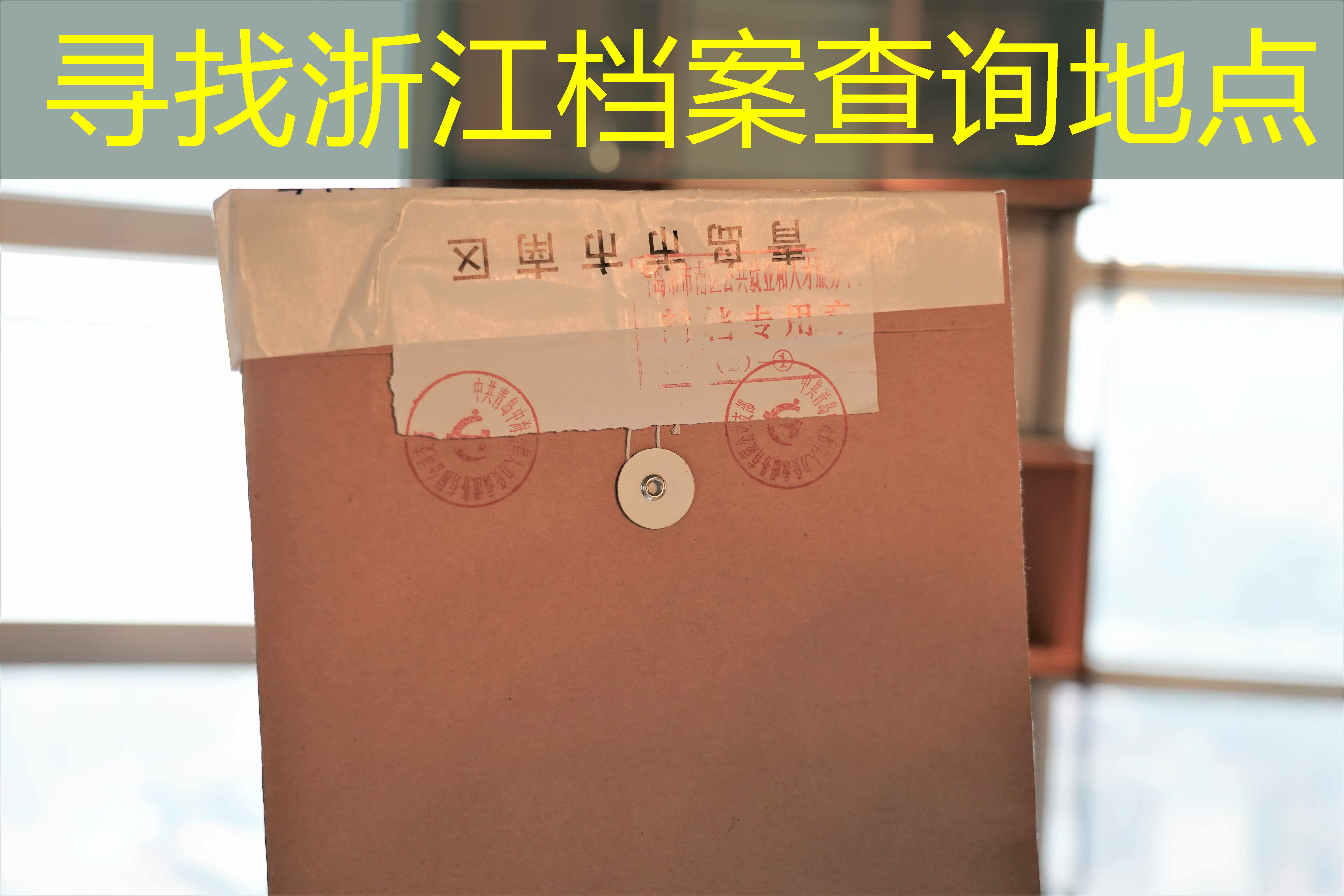 档案查询