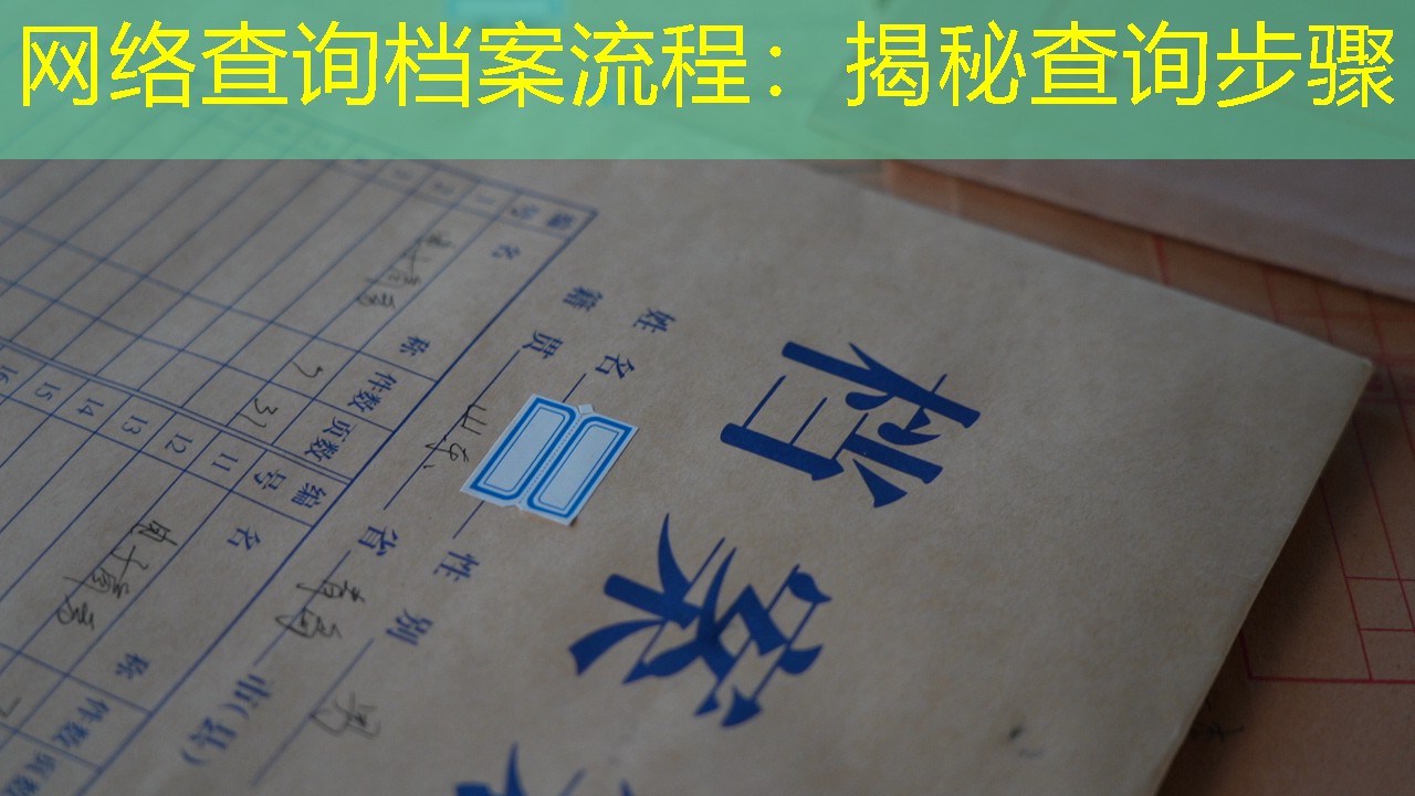 档案查询