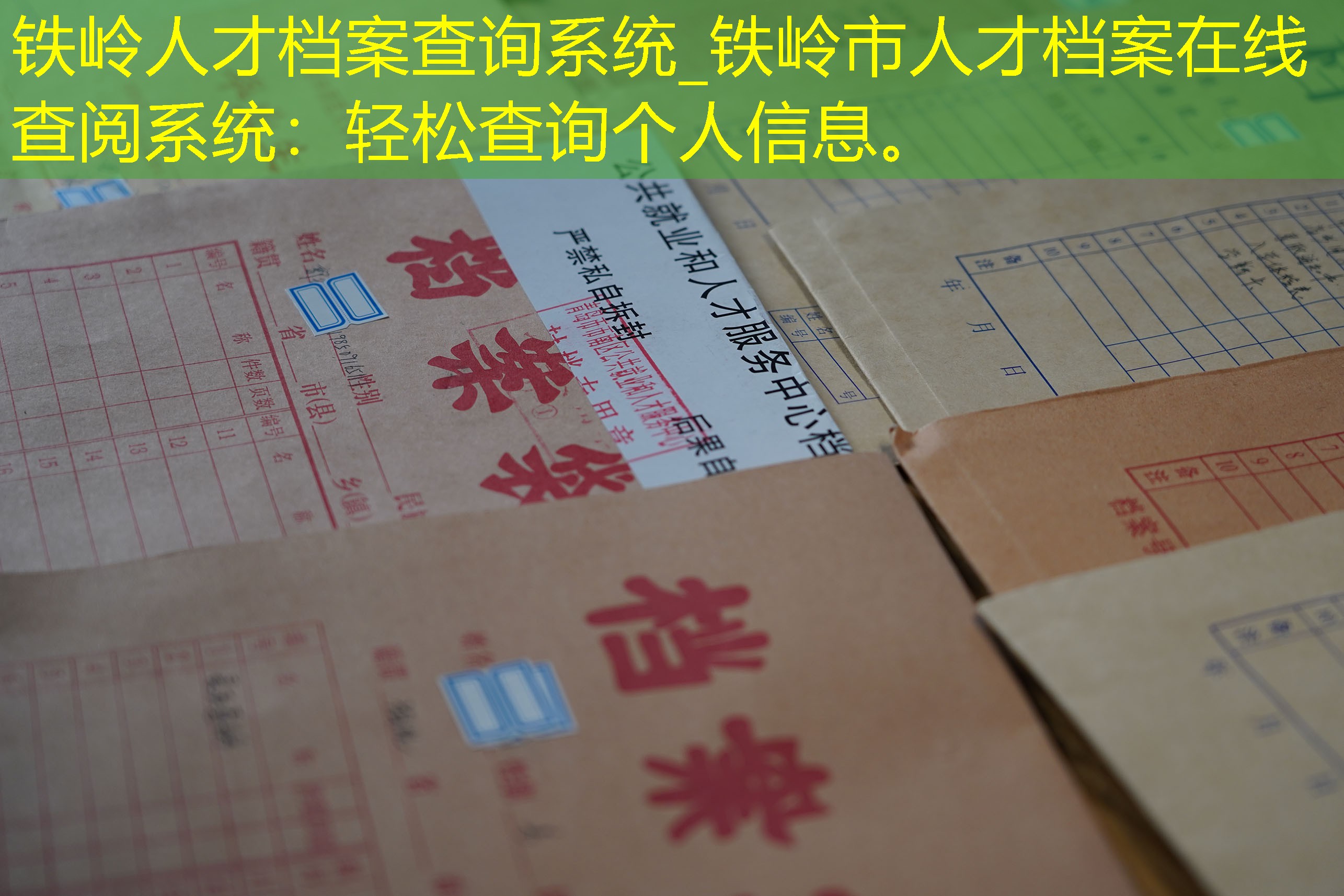 档案查询