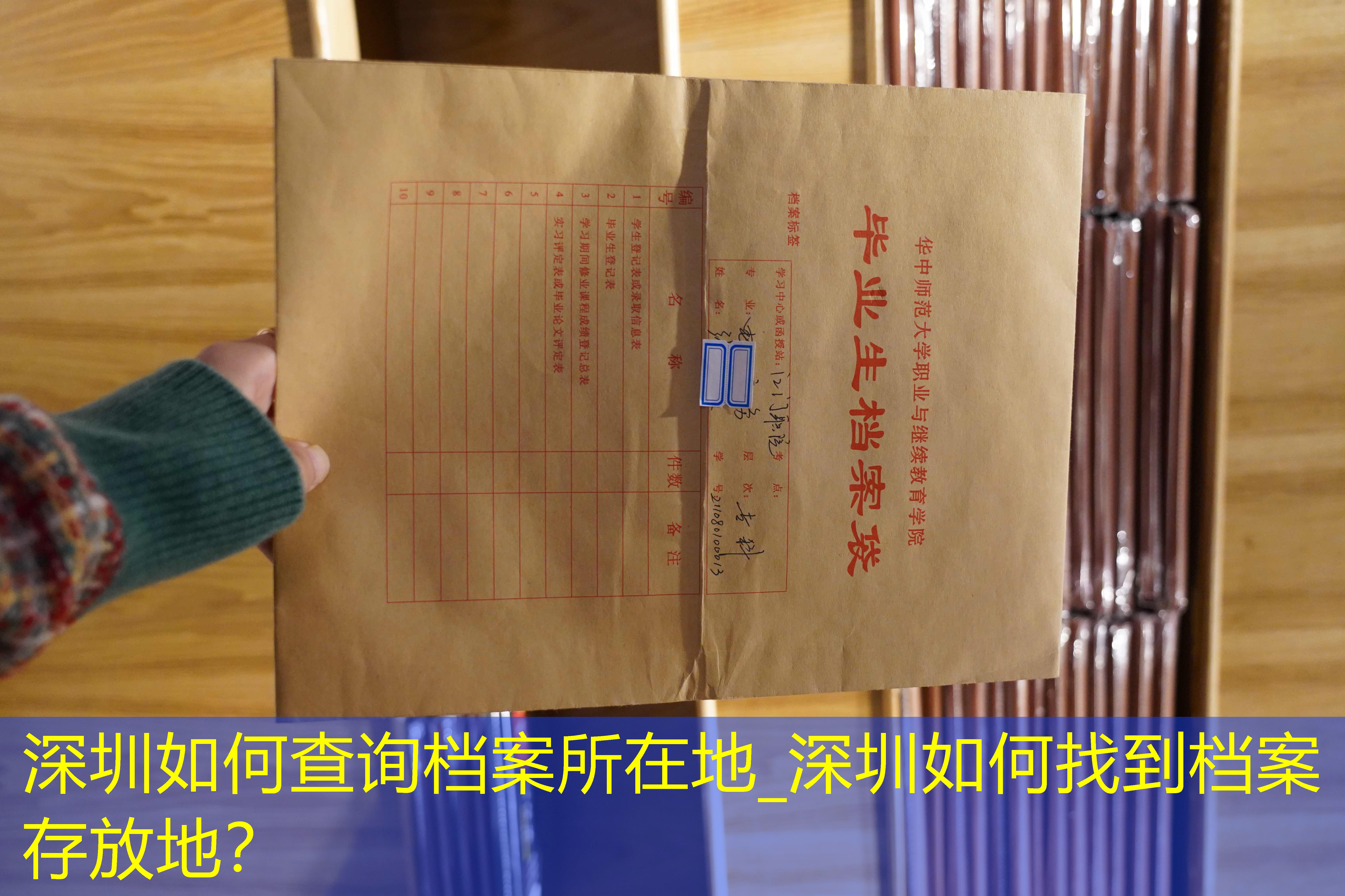 档案查询
