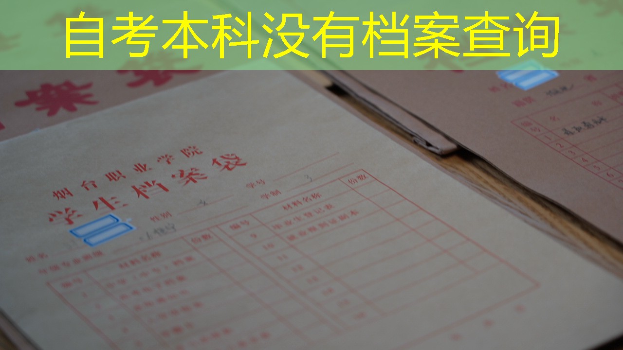 档案查询