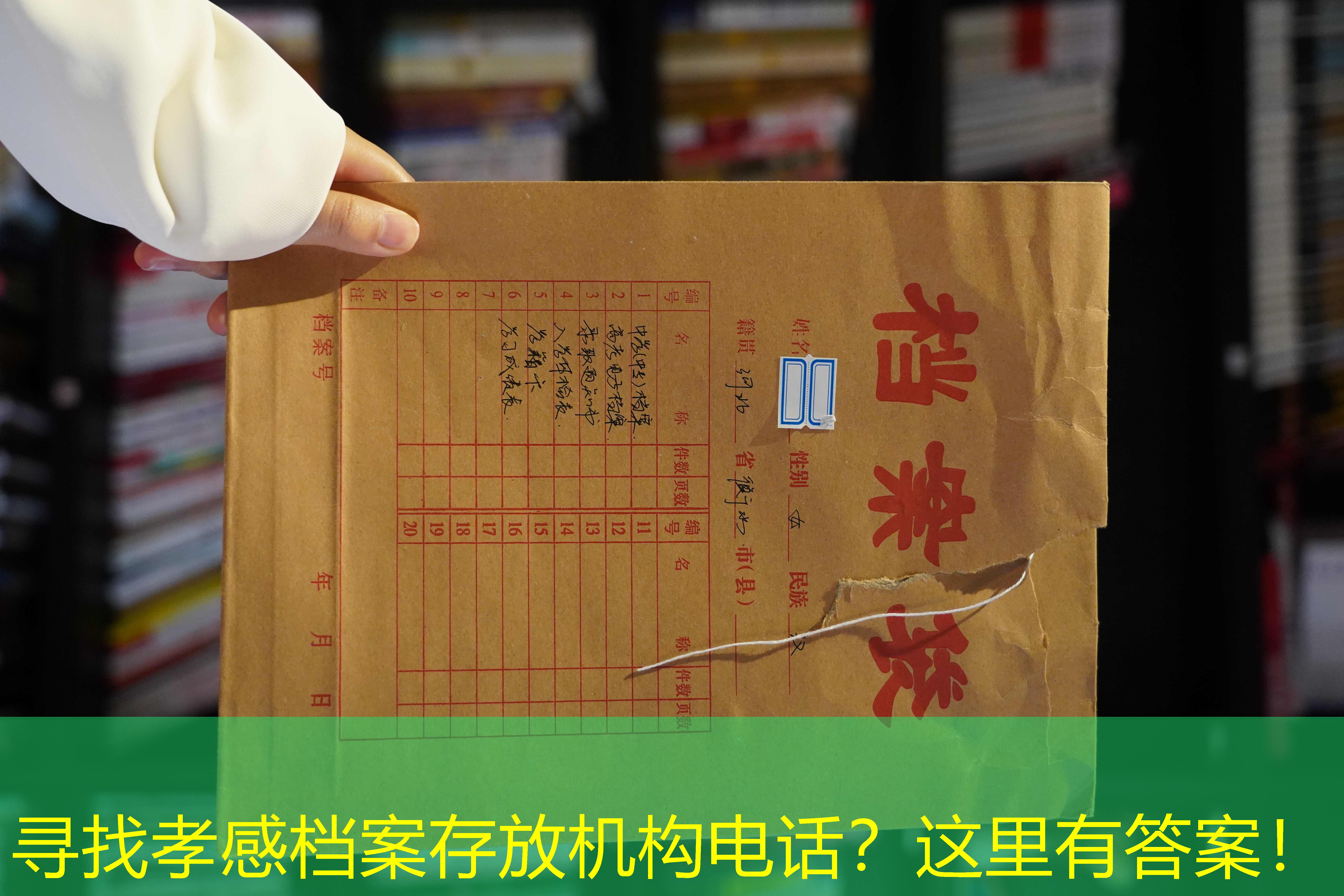 档案查询