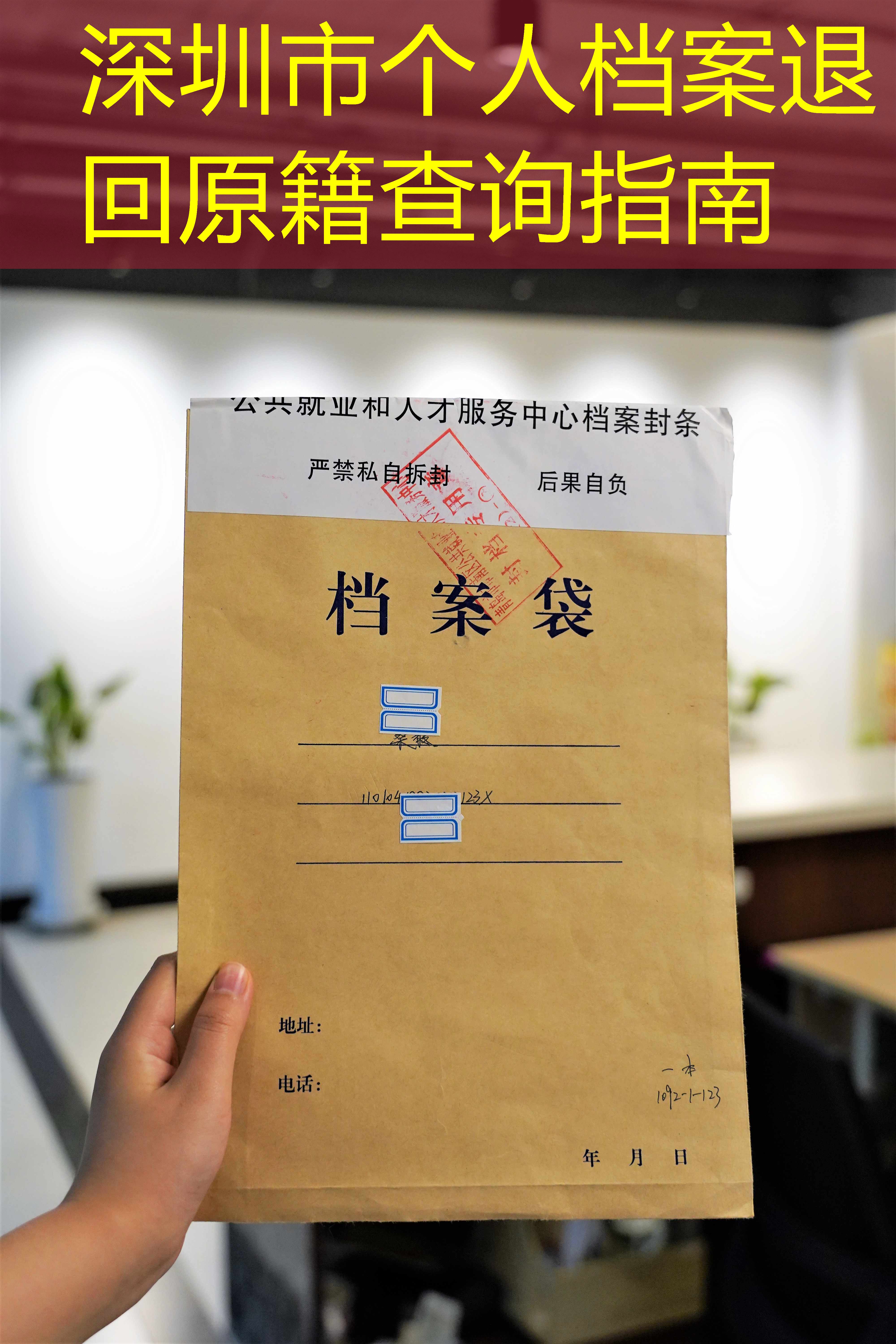 档案查询