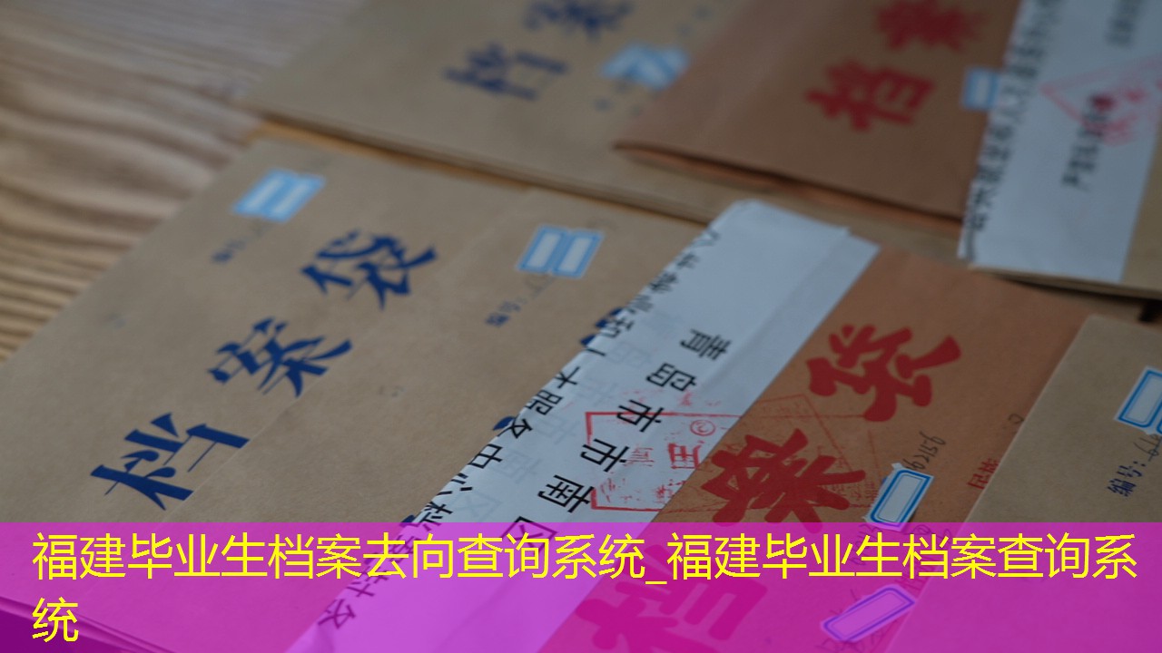 档案查询