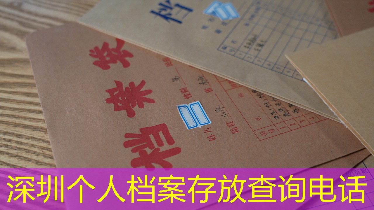 档案查询