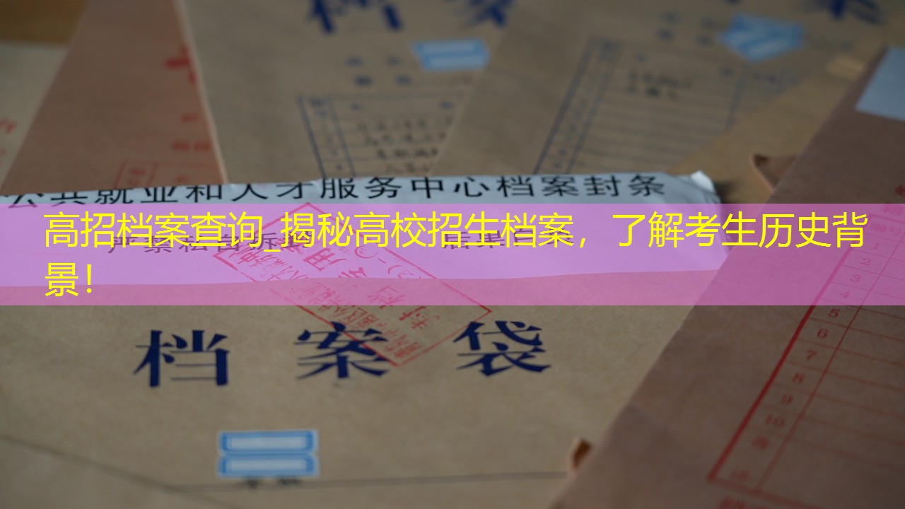 档案查询